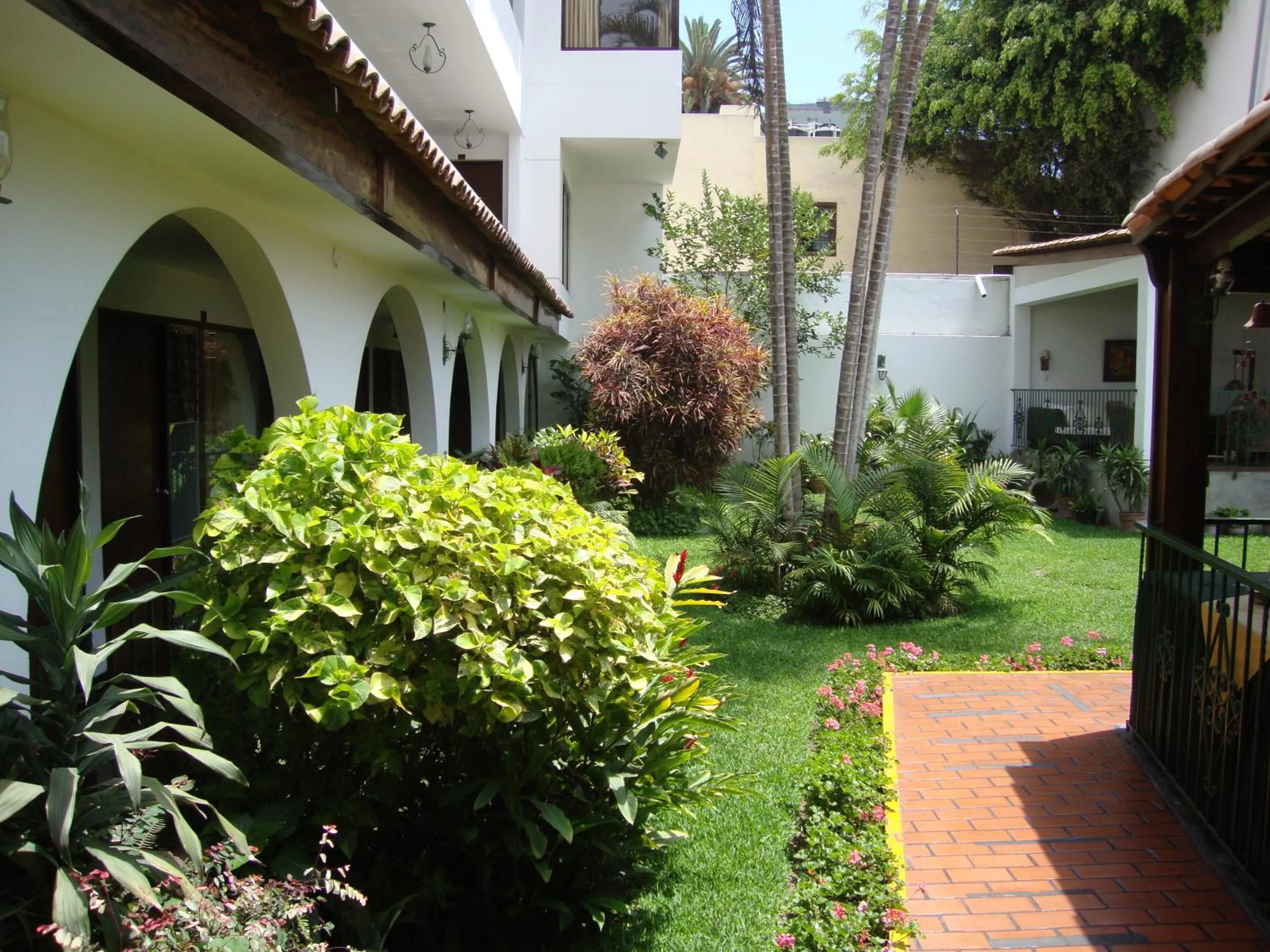 Garden in Hotel Señorial