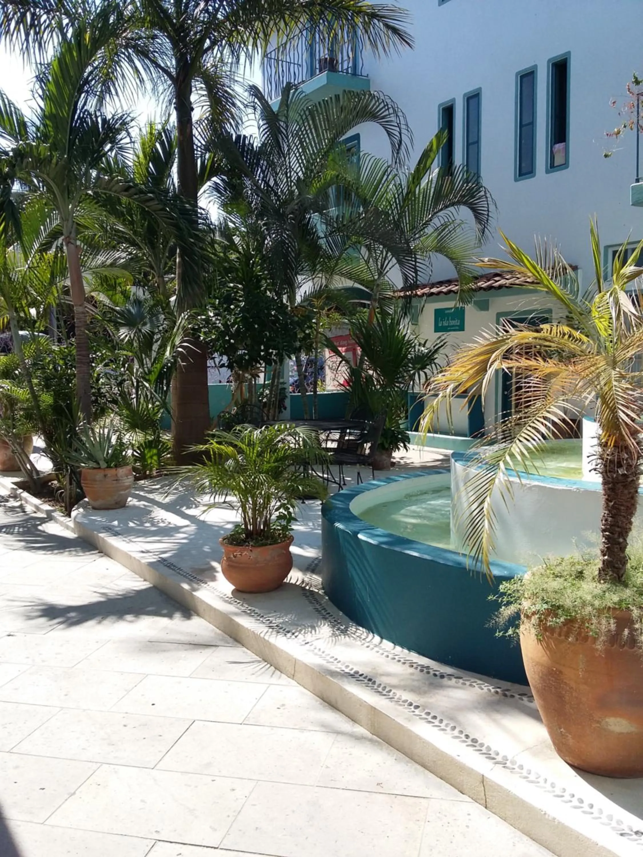 Bird's eye view in Delphinus Inn