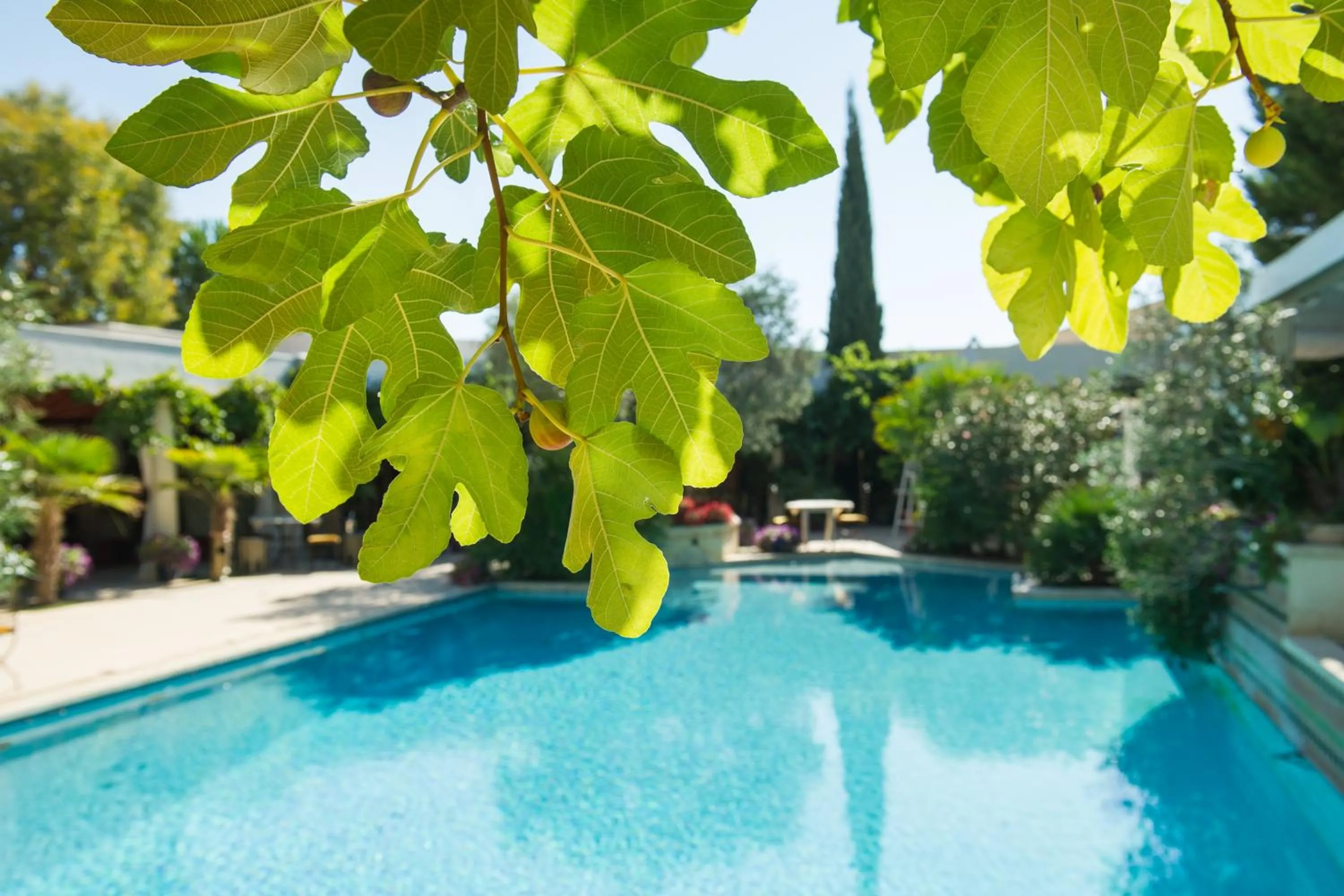 Swimming pool in La Villa Majorelle