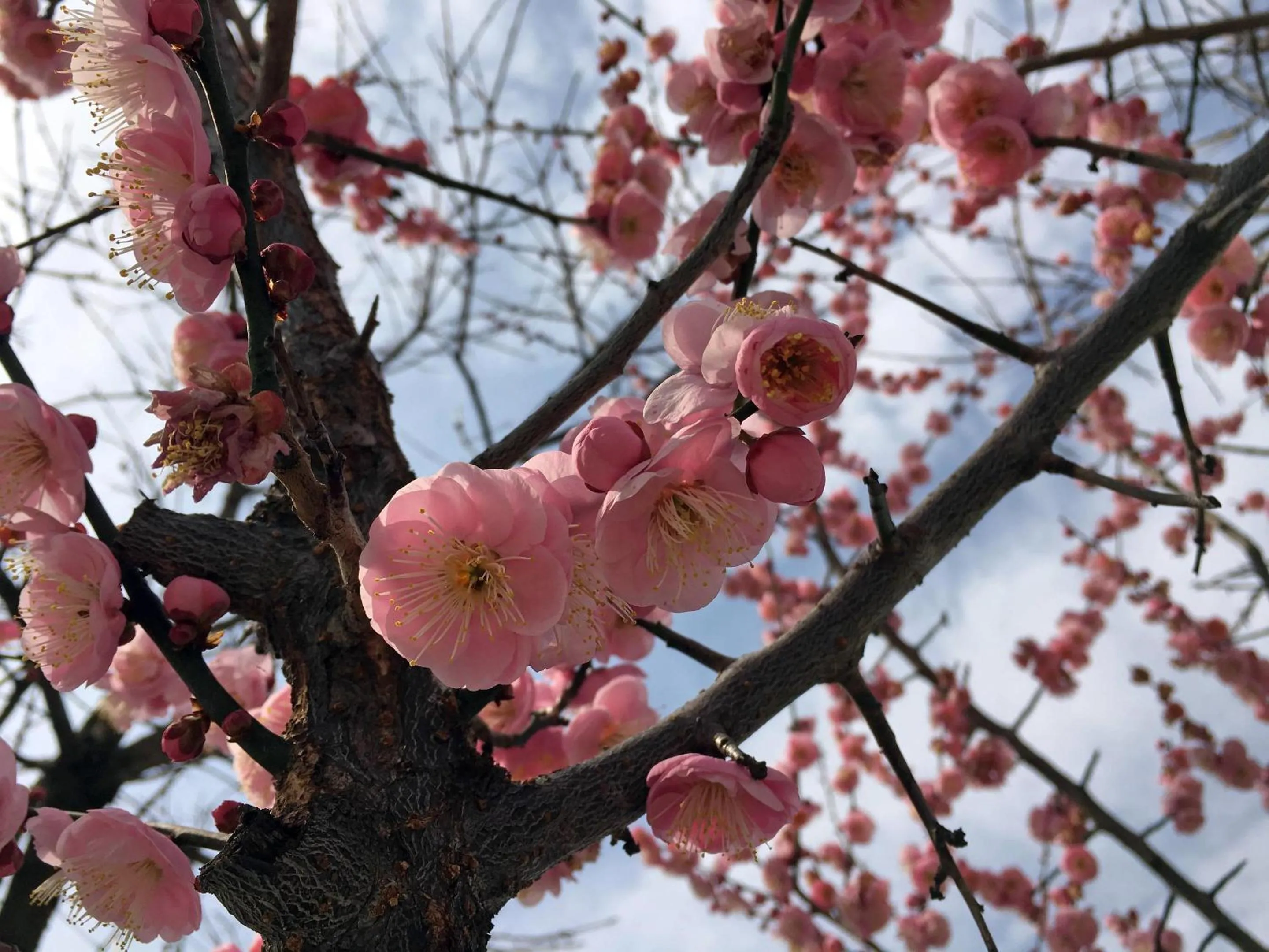 Other in Cambria Hotel College Park