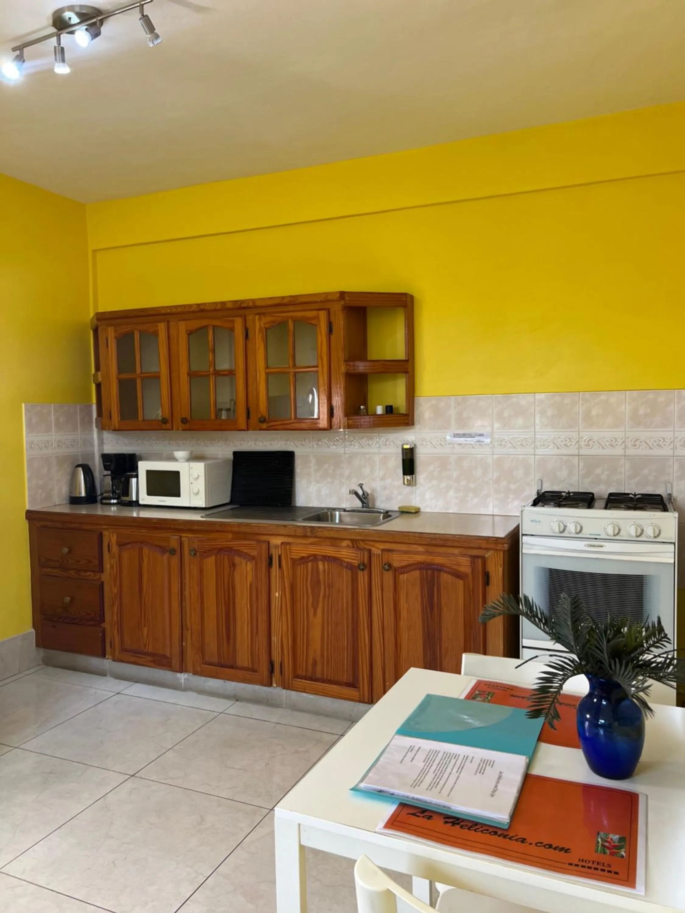 Kitchen or kitchenette in La Heliconia & Day Spa