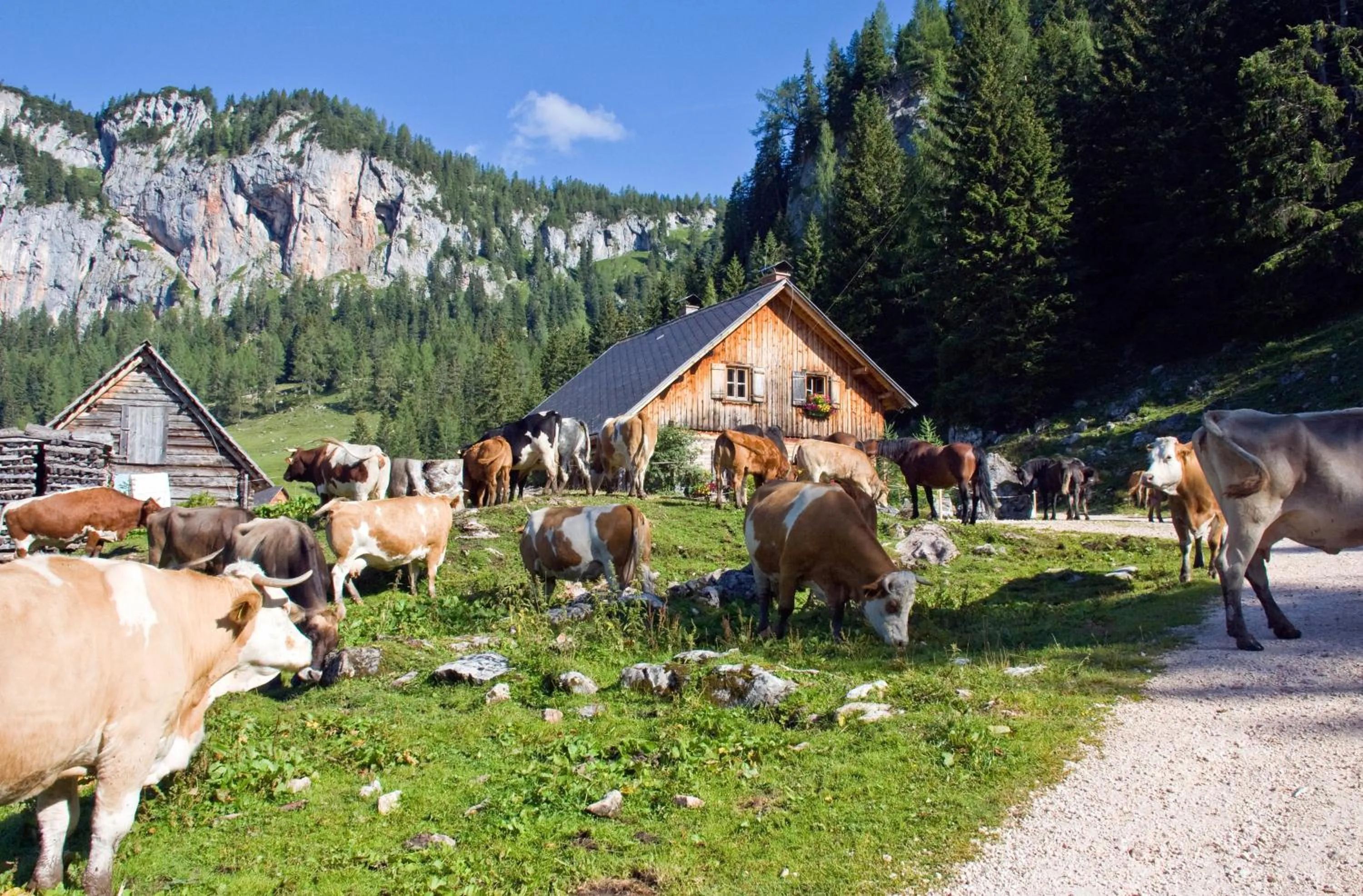 Hiking in Dormio Aparthotel Hinterstoder