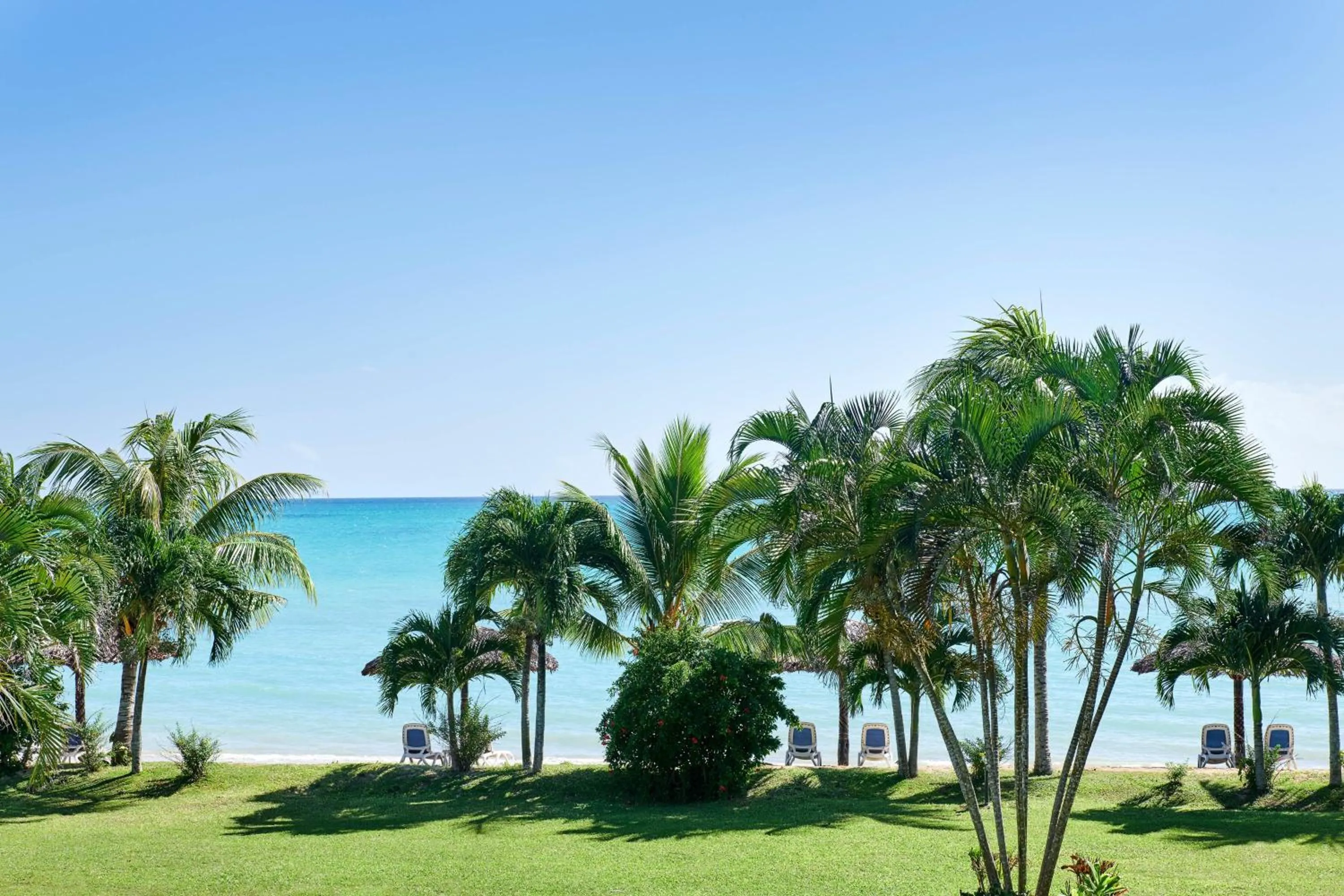 Photo of the whole room in Sheraton Samoa Beach Resort