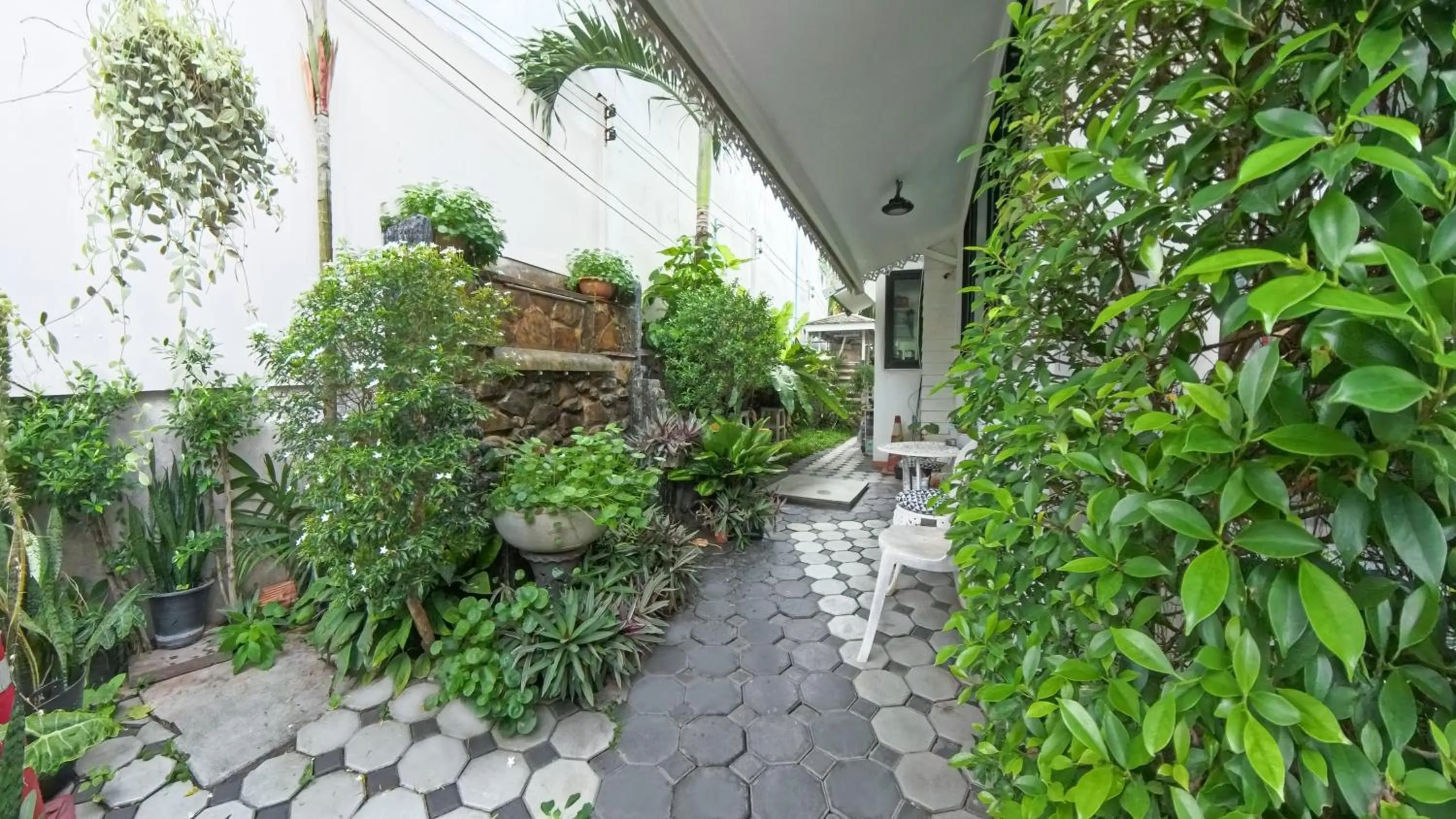 Garden in Gusto House