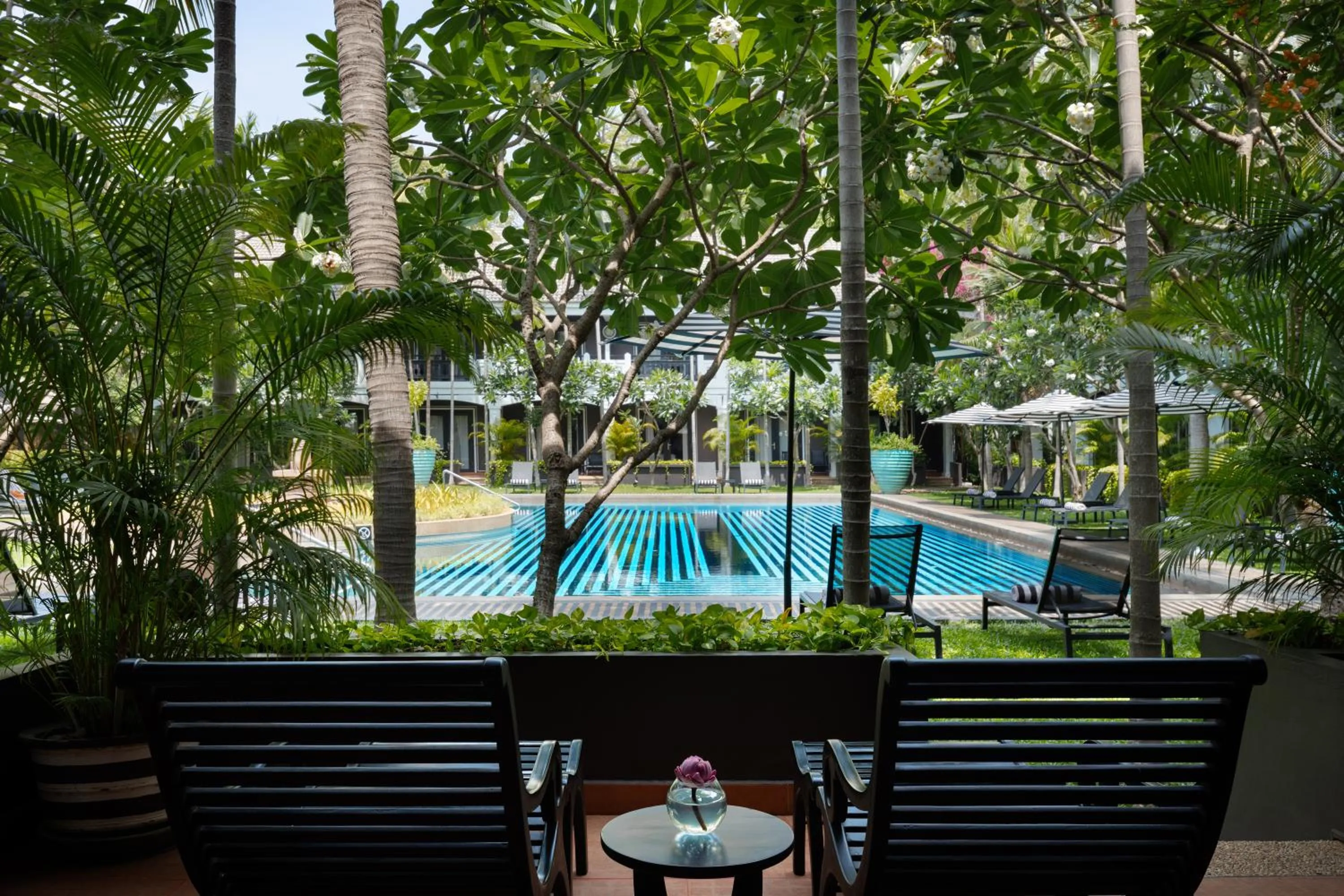 Pool view in Shinta Mani Angkor