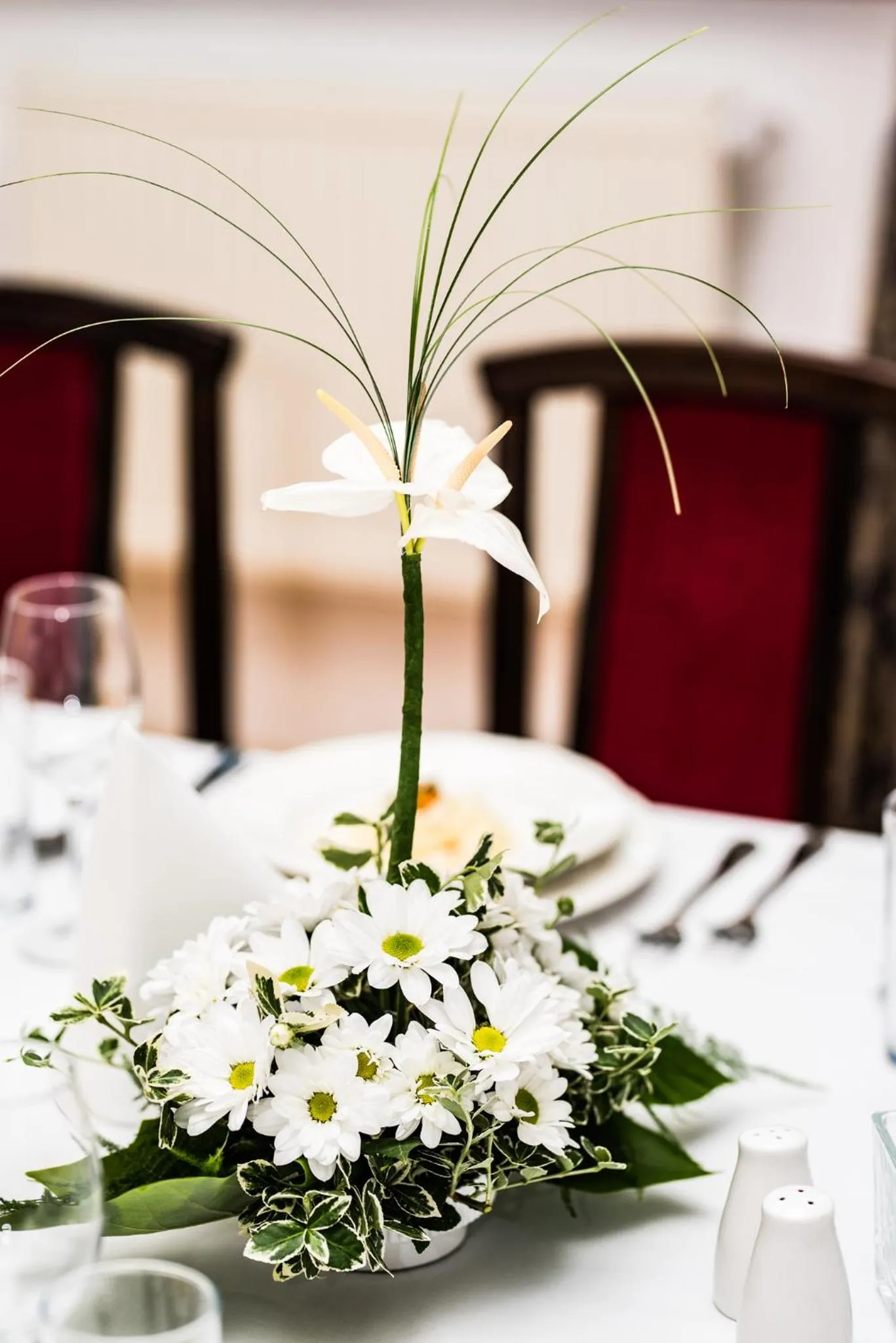 Food and drinks in Pałac Krobielowice