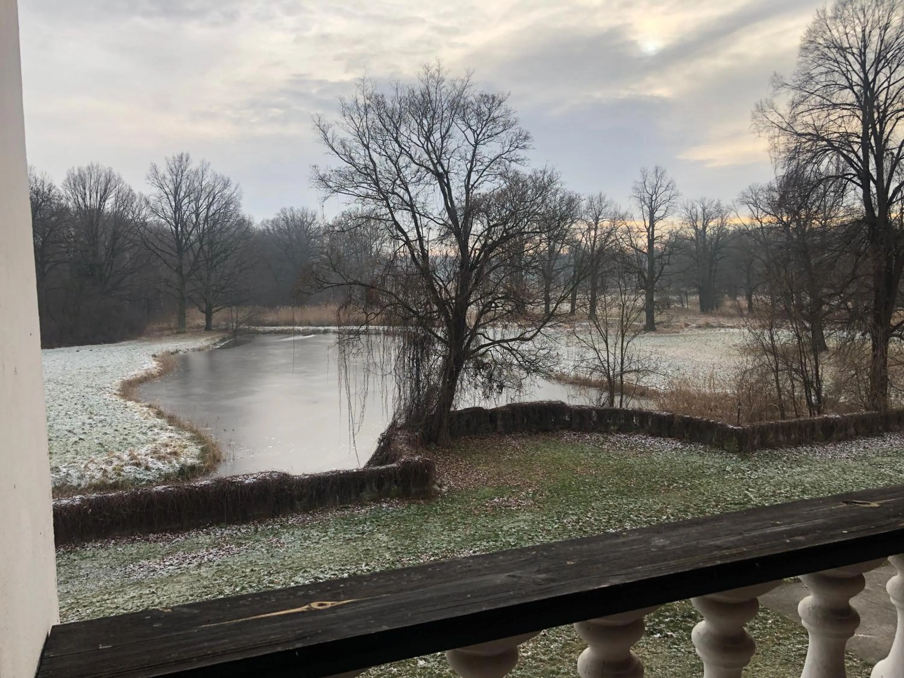 Natural landscape in Pałac Krobielowice