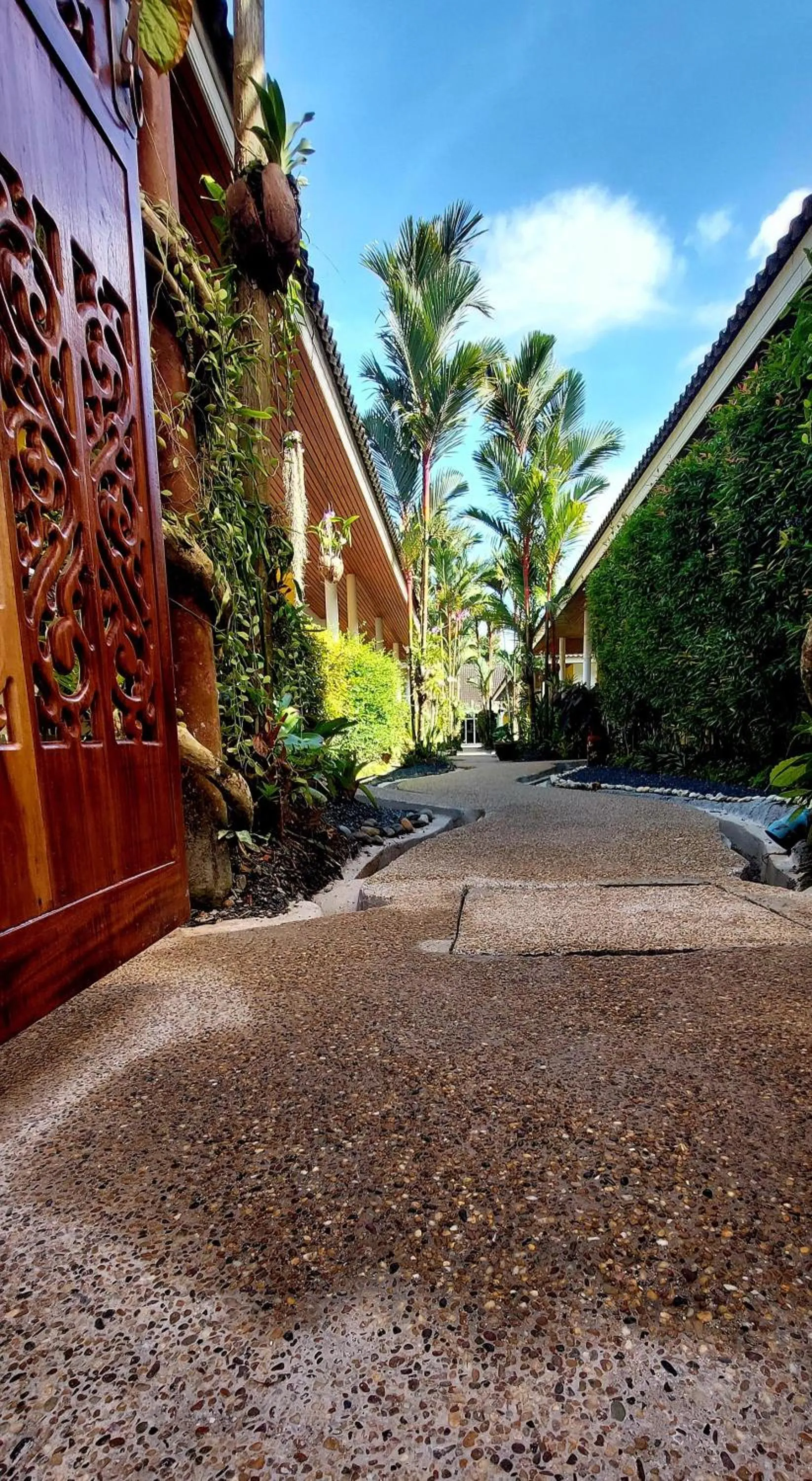 Garden in Loma Resort