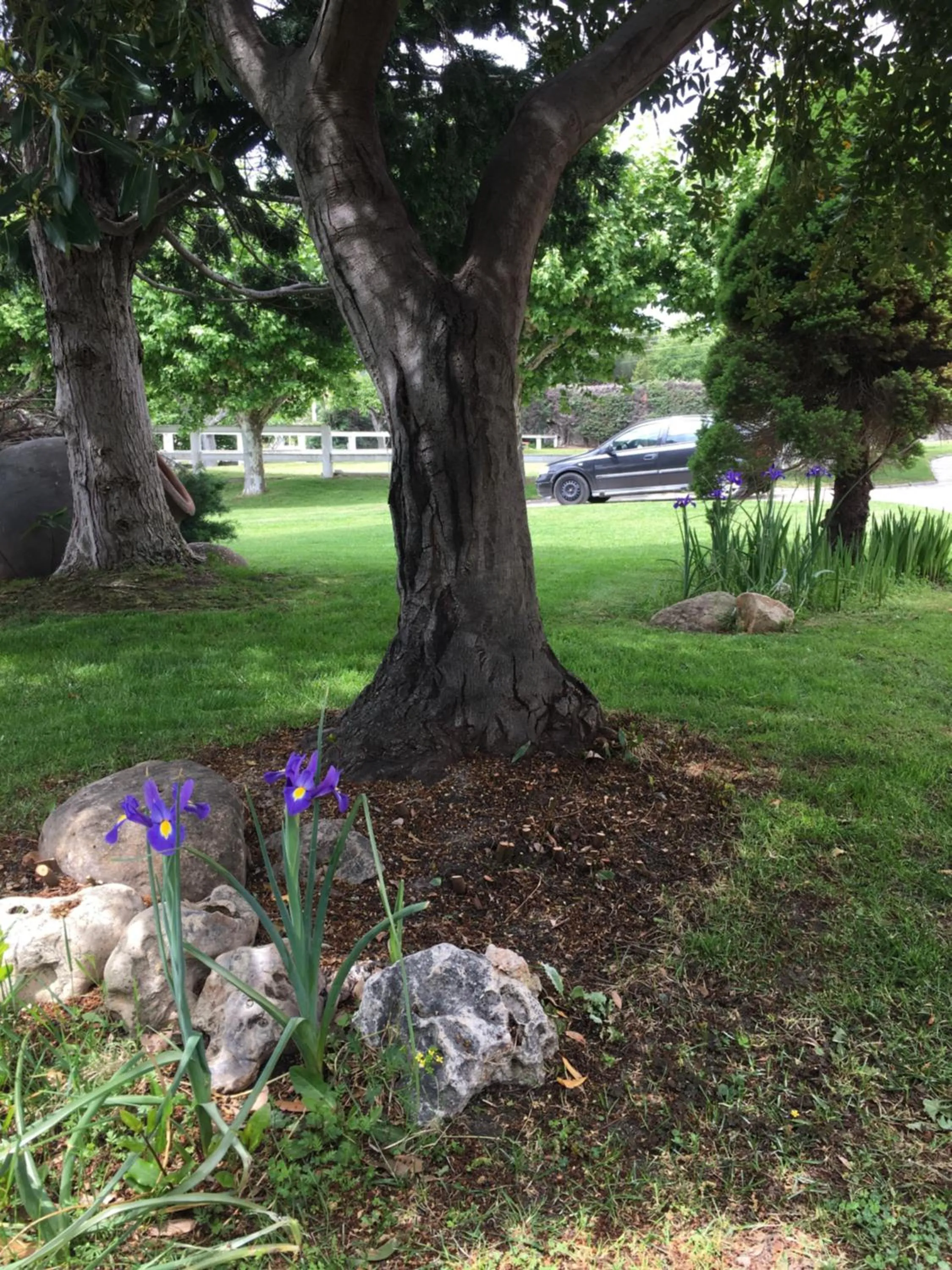 Garden in B&B Yeguada La Parrilla