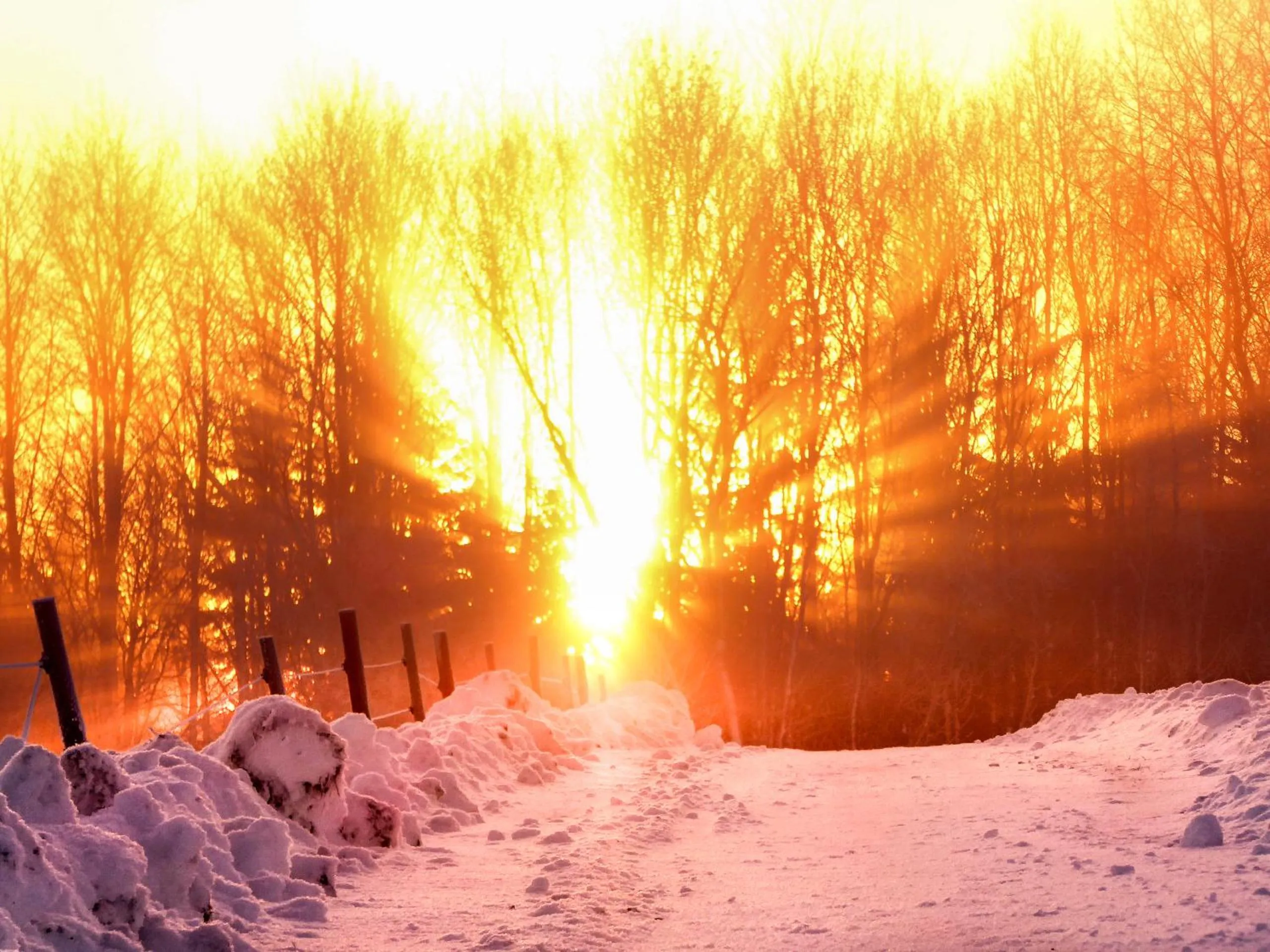 Skiing in Landgasthof Alpenblick an der Wutachschlucht Südschwarzwald