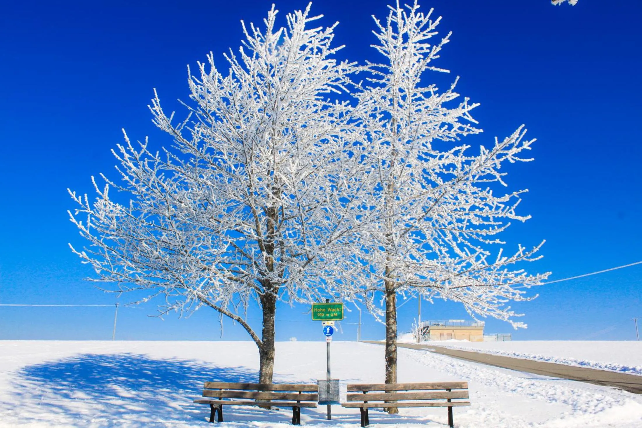 Natural landscape in Landgasthof Alpenblick an der Wutachschlucht Südschwarzwald
