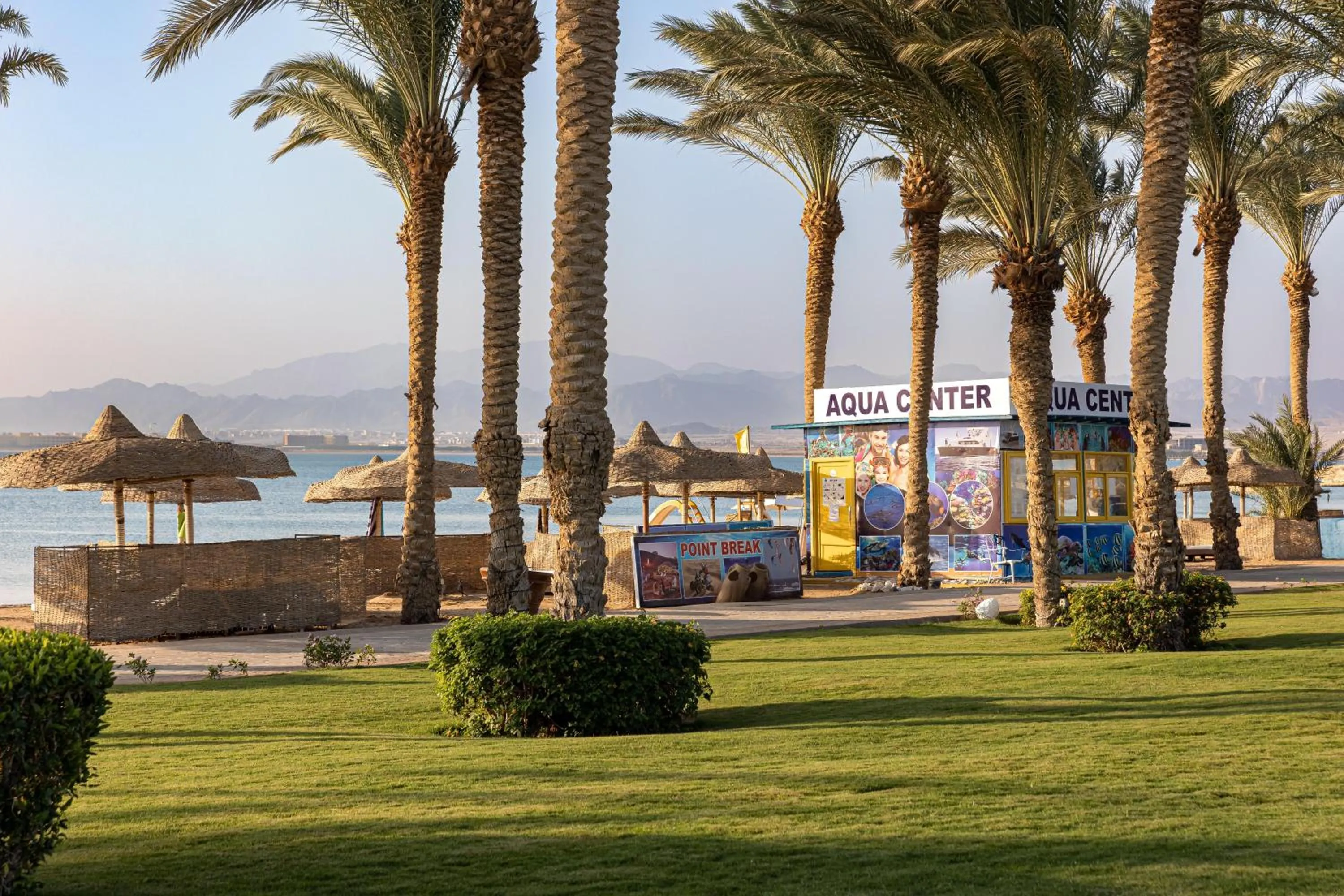 Garden in Palm Royale Resort - Soma Bay