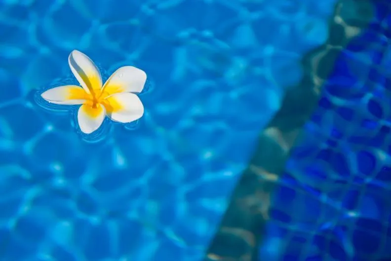 Jalsa Beach Hotel & Spa