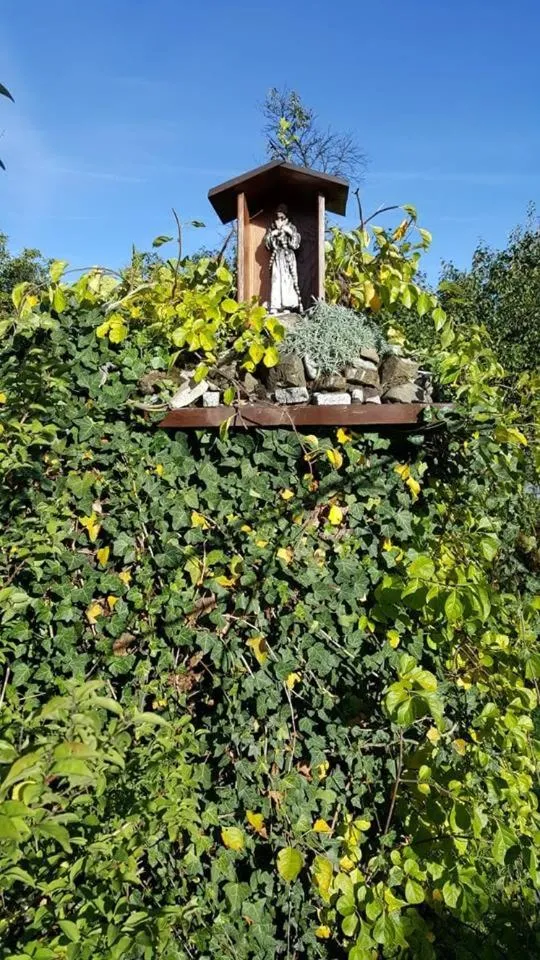 Garden in Willa Granit