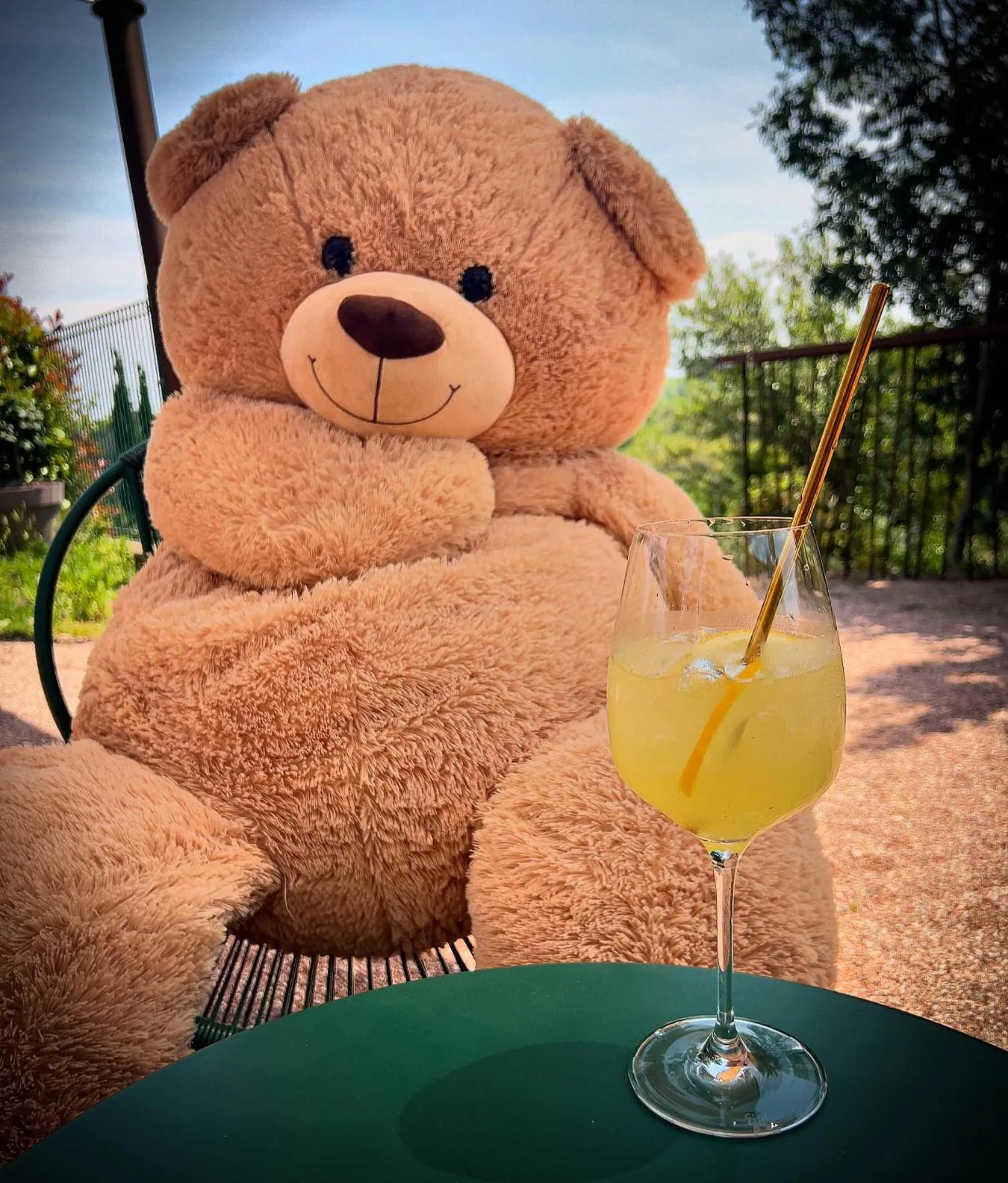 Food and drinks in Logis Hôtel Restaurant La Bergerie