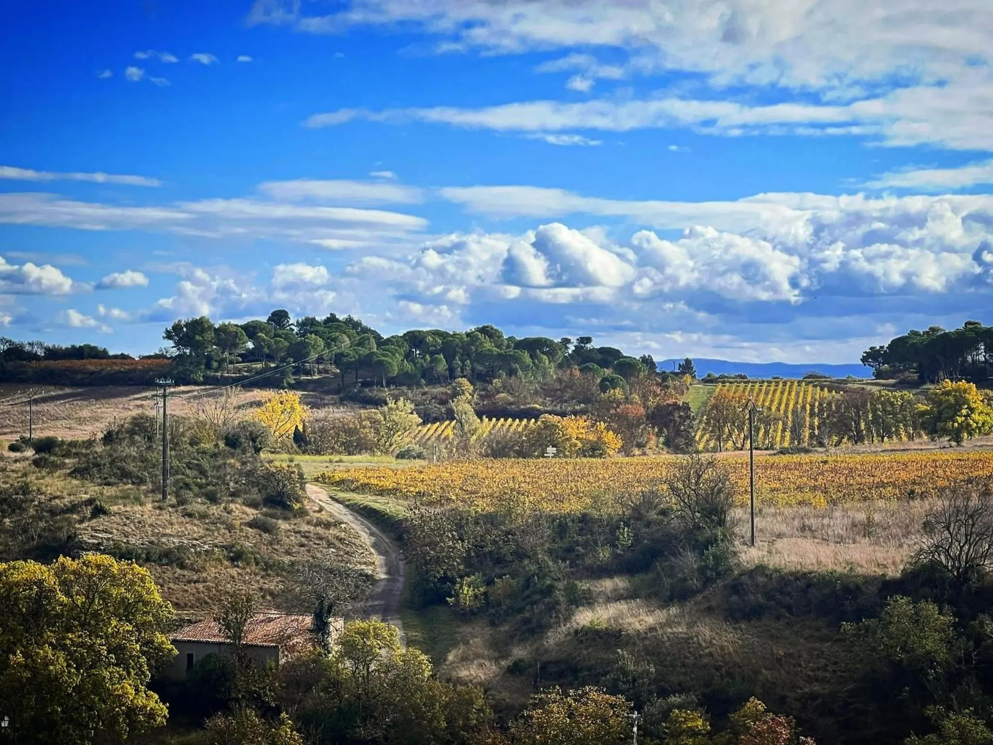View (from property/room) in Logis Hôtel Restaurant La Bergerie