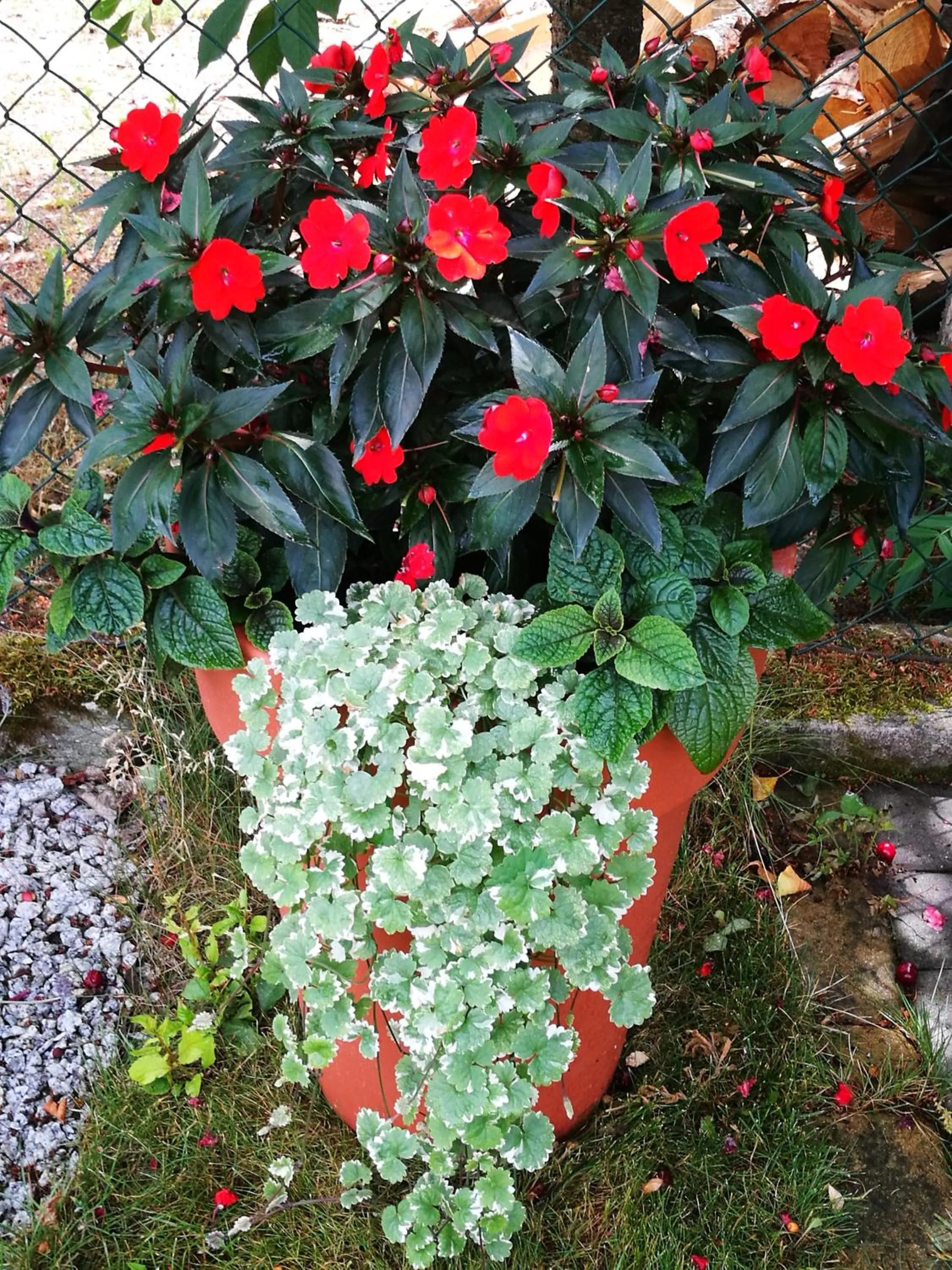 Property building in Dom nad Wigrami