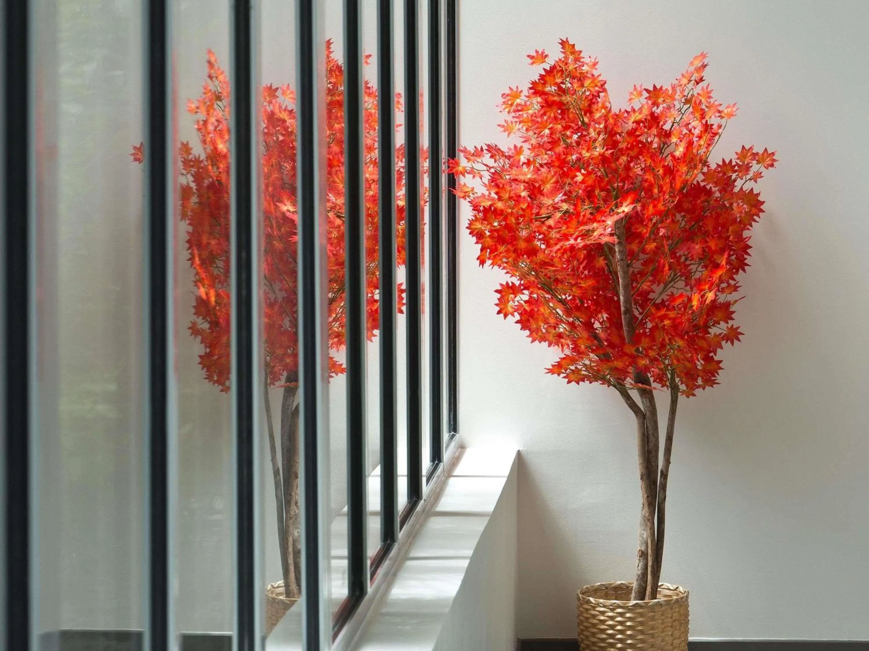 Meeting/conference room in Mercure Montpellier Centre Comédie