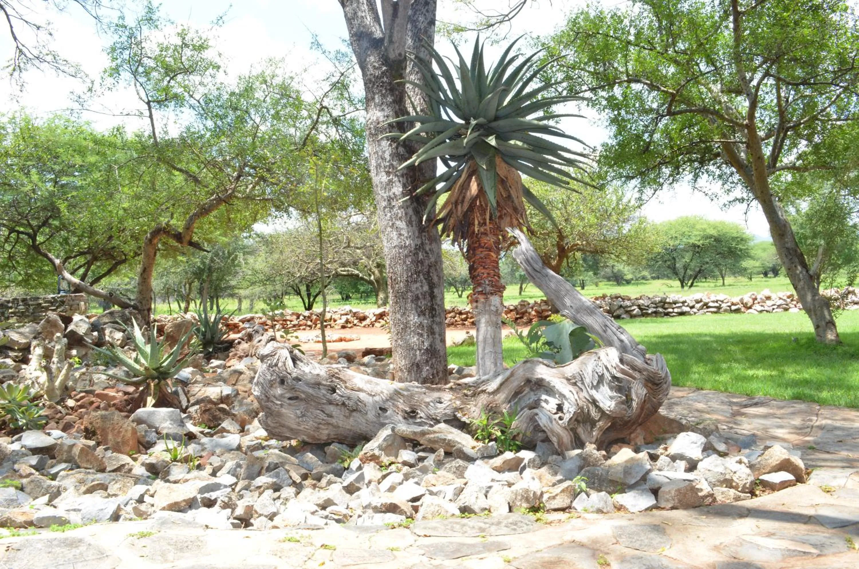 Garden in Ohange Namibia Lodge