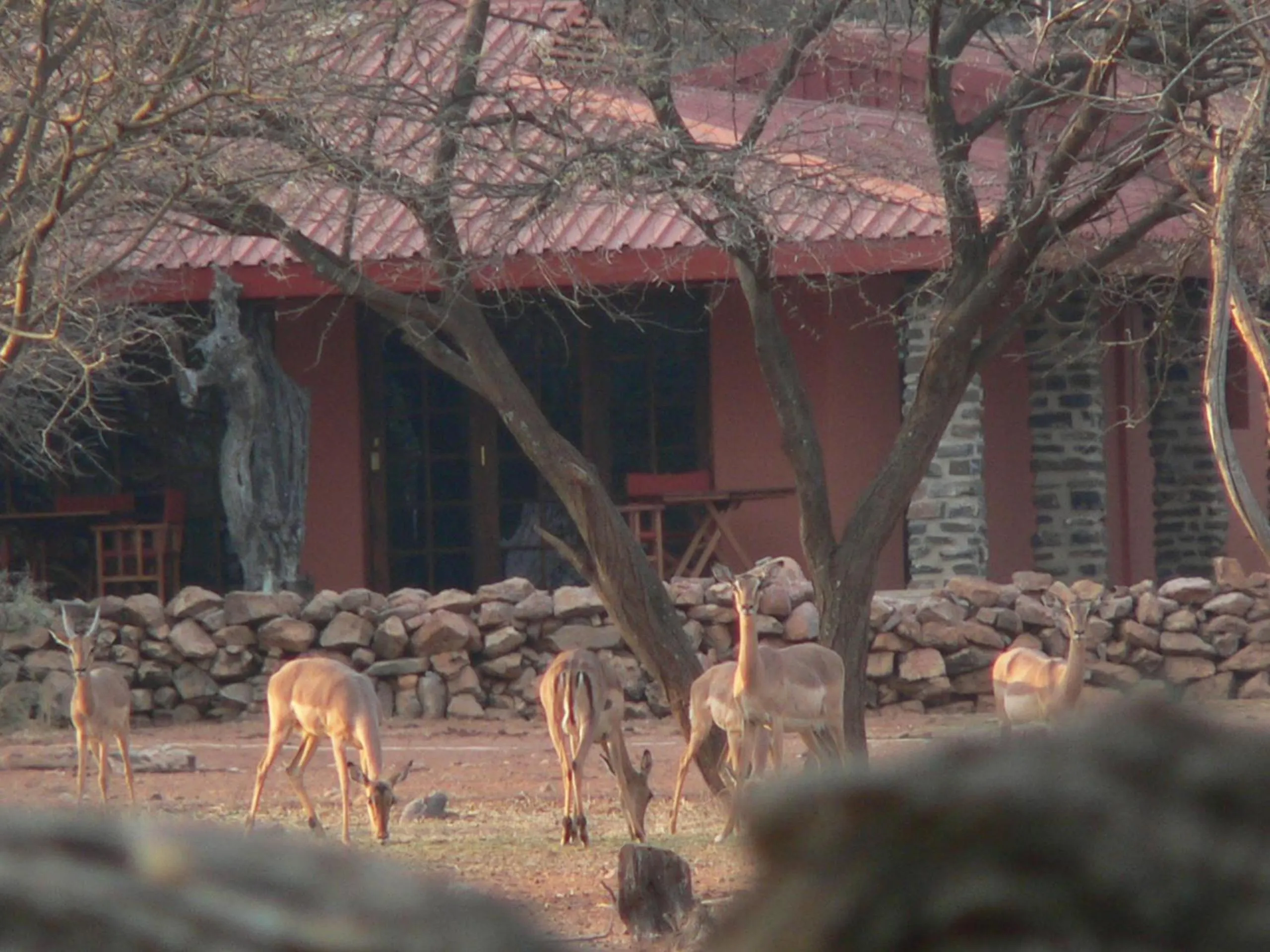 Ohange Namibia Lodge
