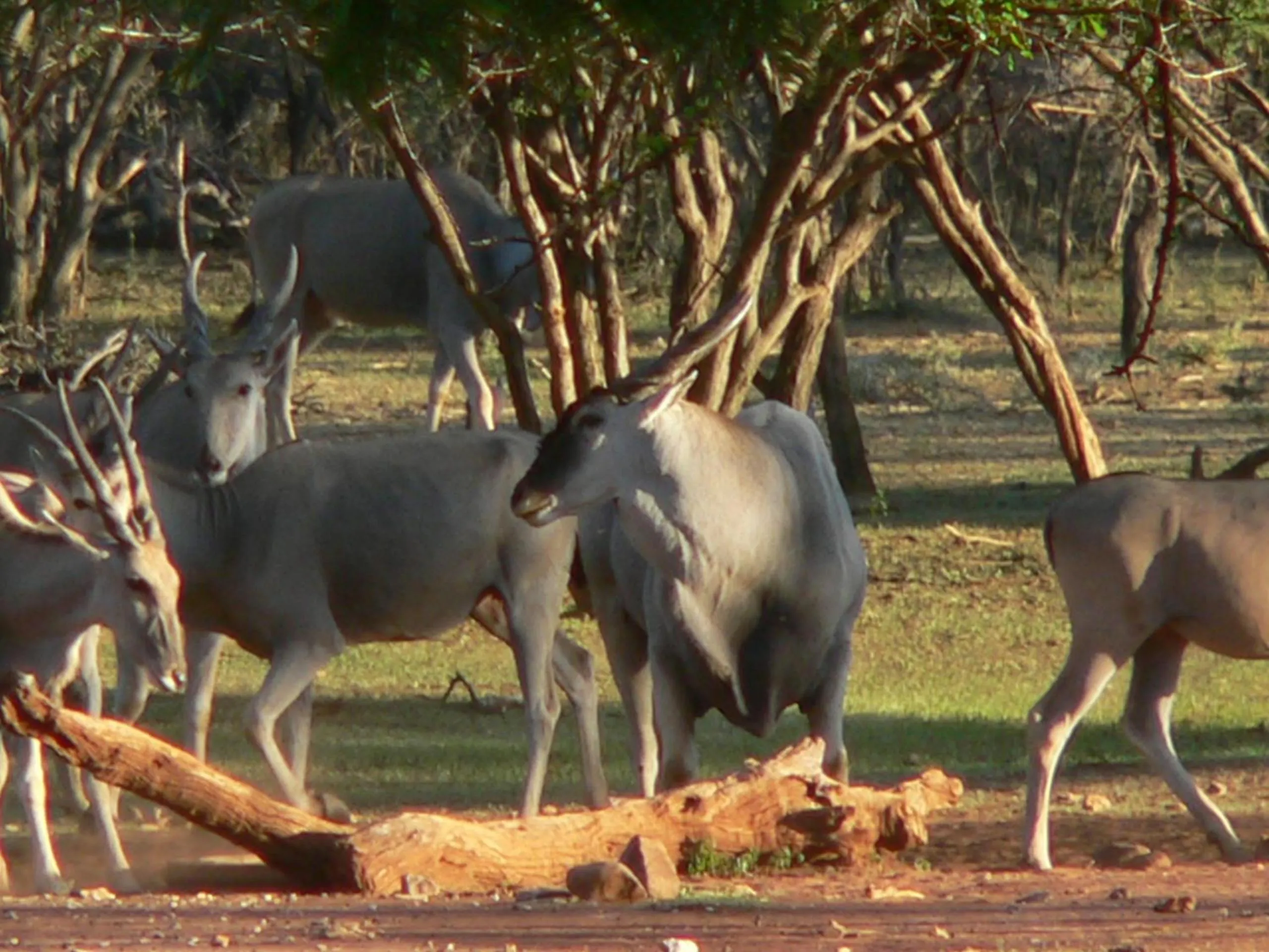 Ohange Namibia Lodge
