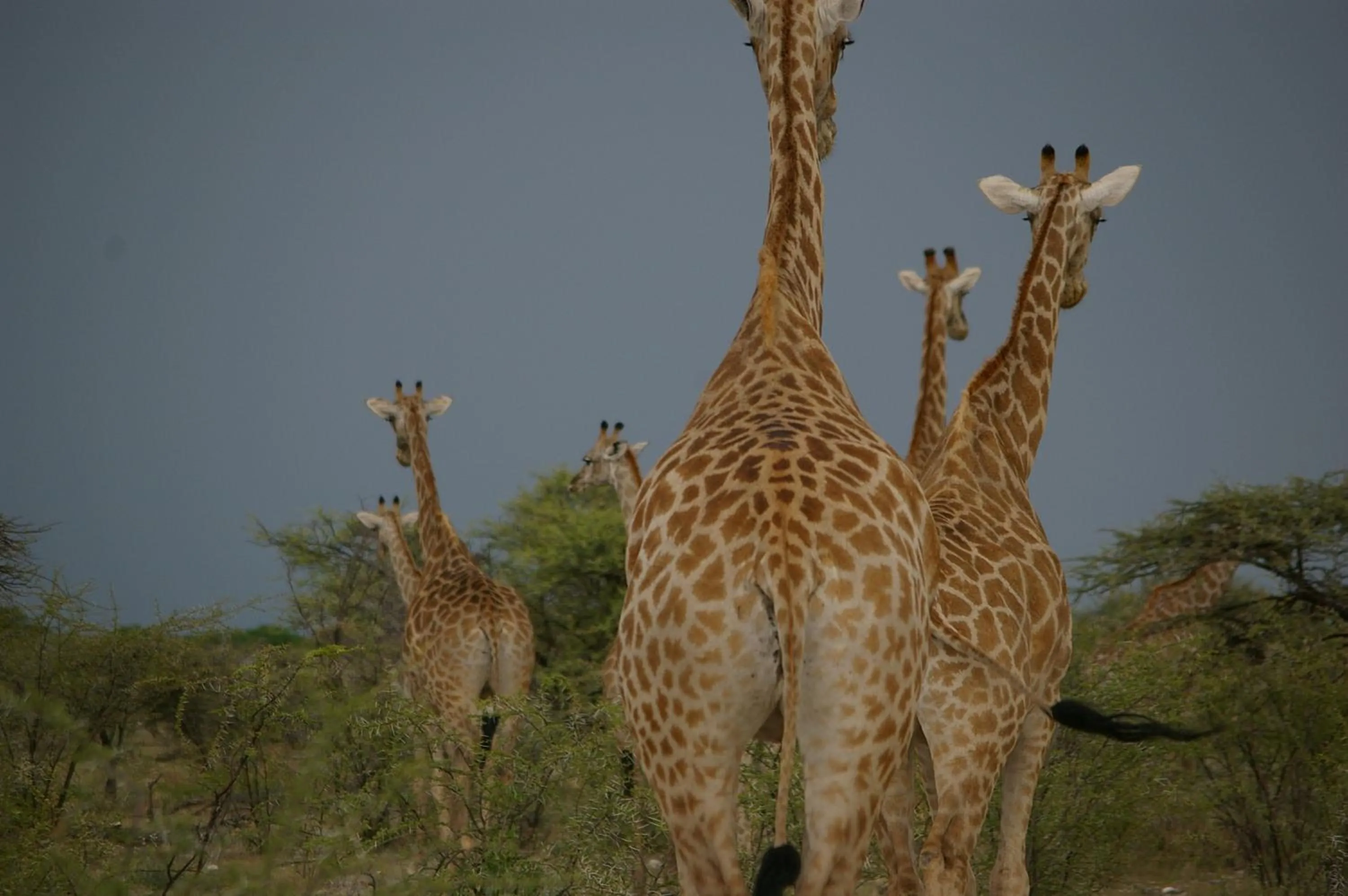 Ohange Namibia Lodge