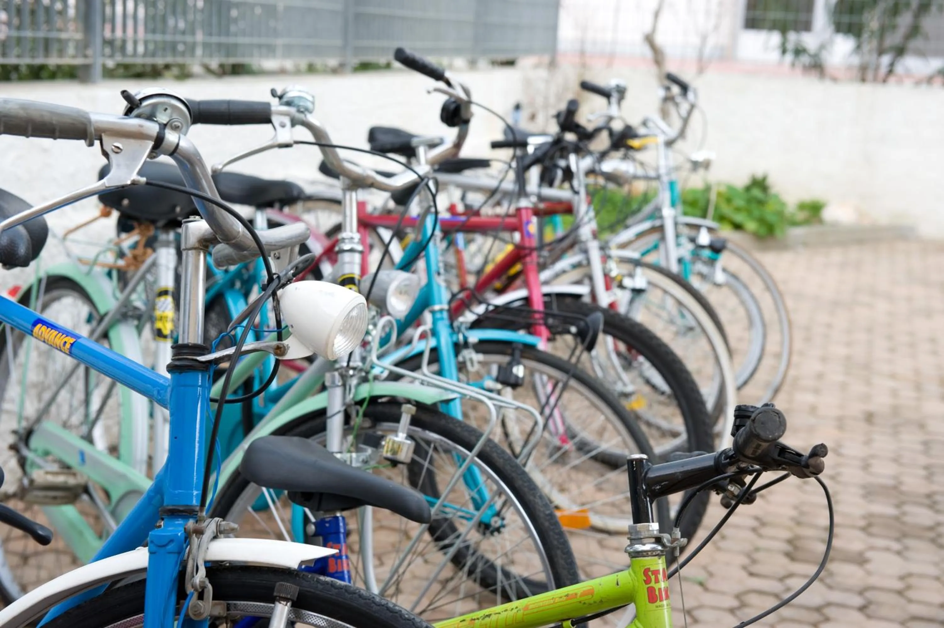 Activities in B&B Nova Siri