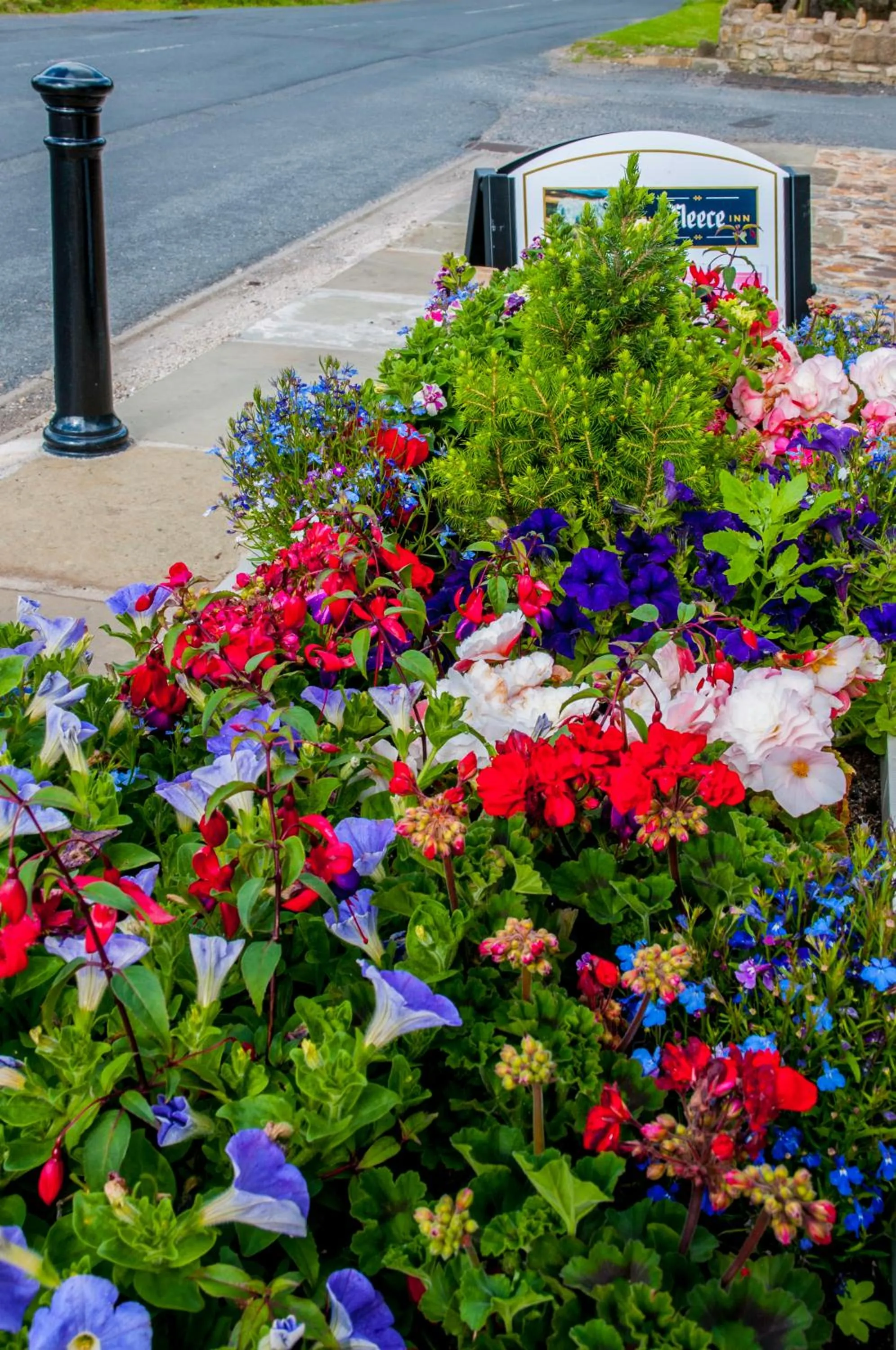 Garden in The Fleece Inn