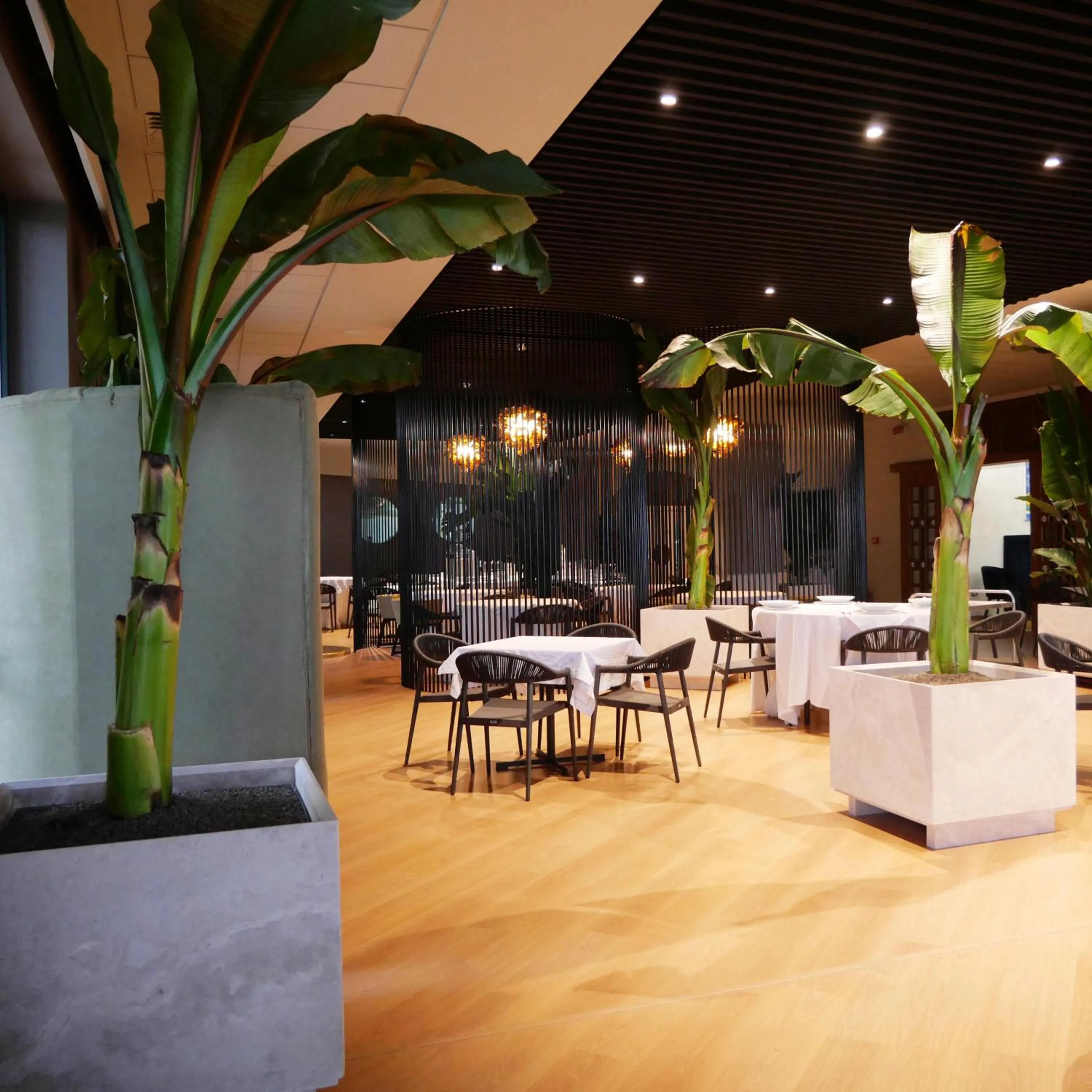 Restaurant/places to eat in Saint Joseph