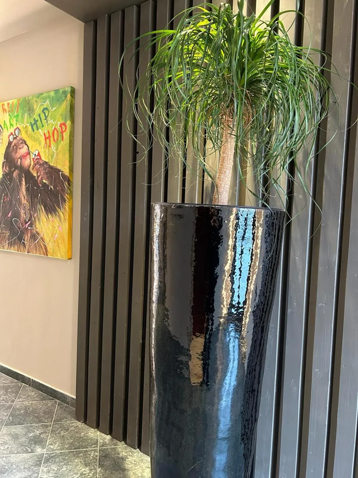 hair dresser in Saint Joseph