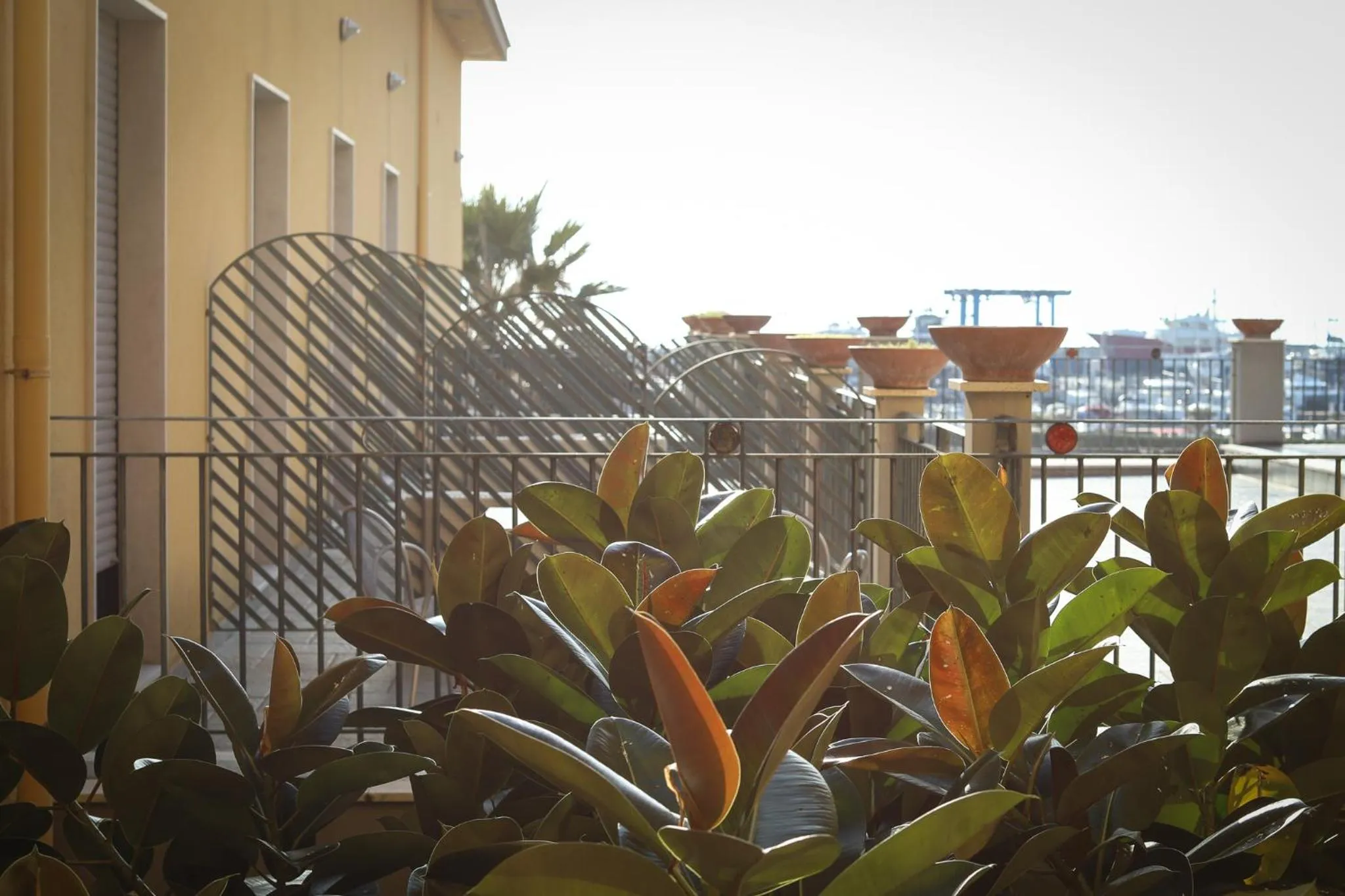 Balcony/Terrace in Saint Joseph