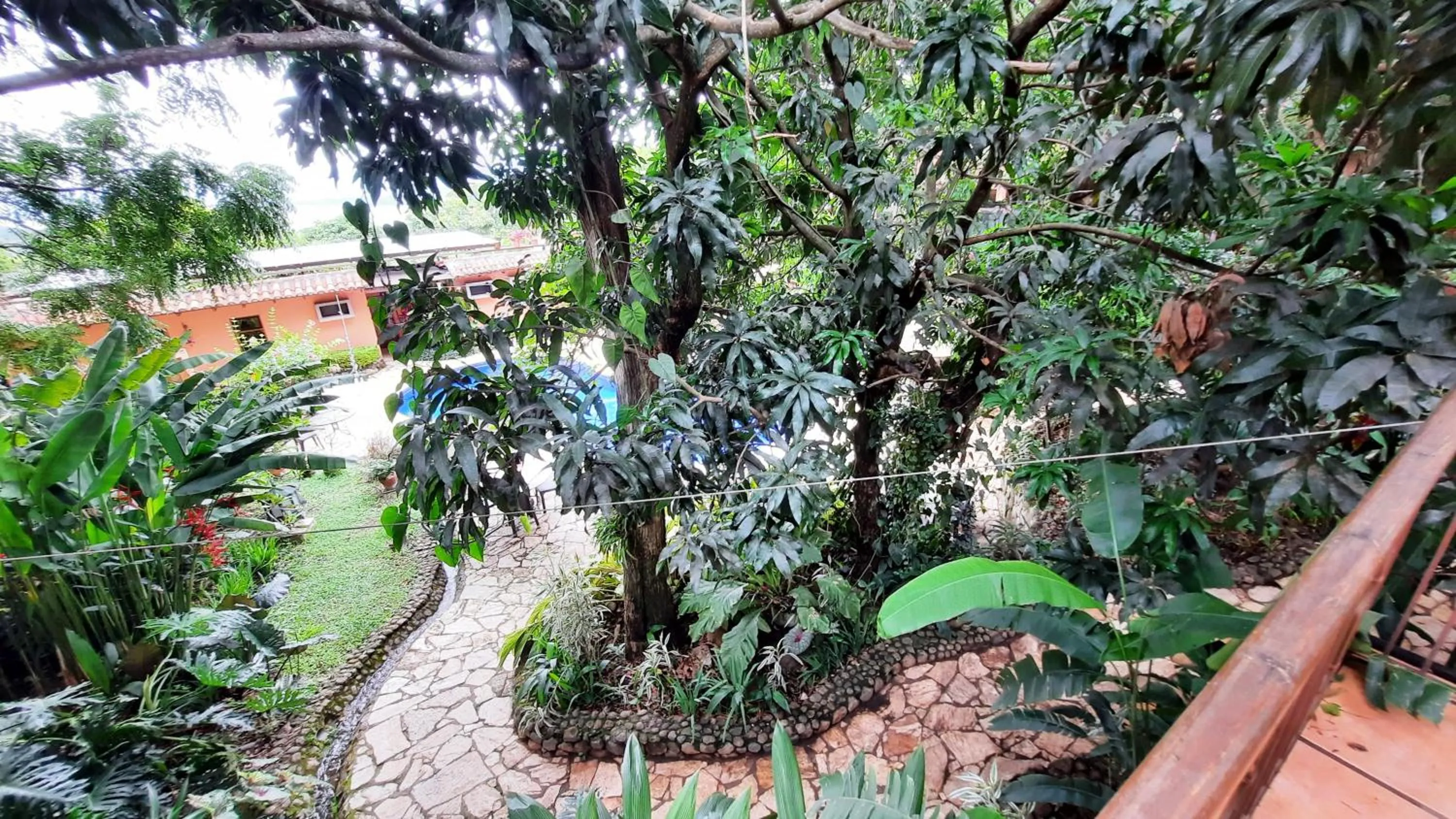 Los Almendros de San Lorenzo