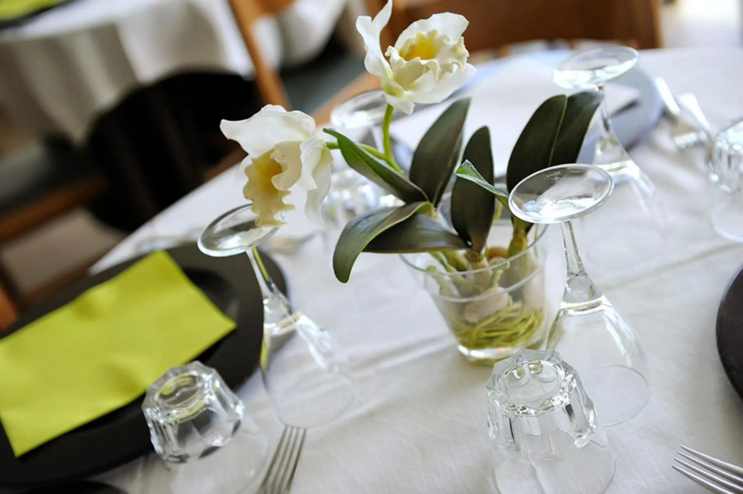 Dining area in Hotel Thea