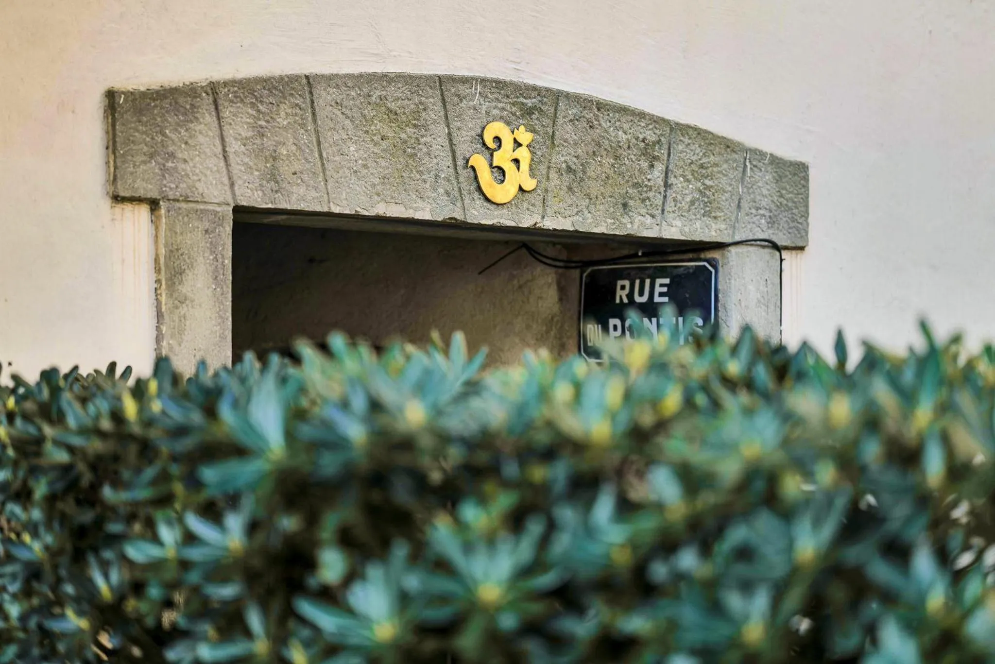 Property building in The frogs' house - Yoga Retreat