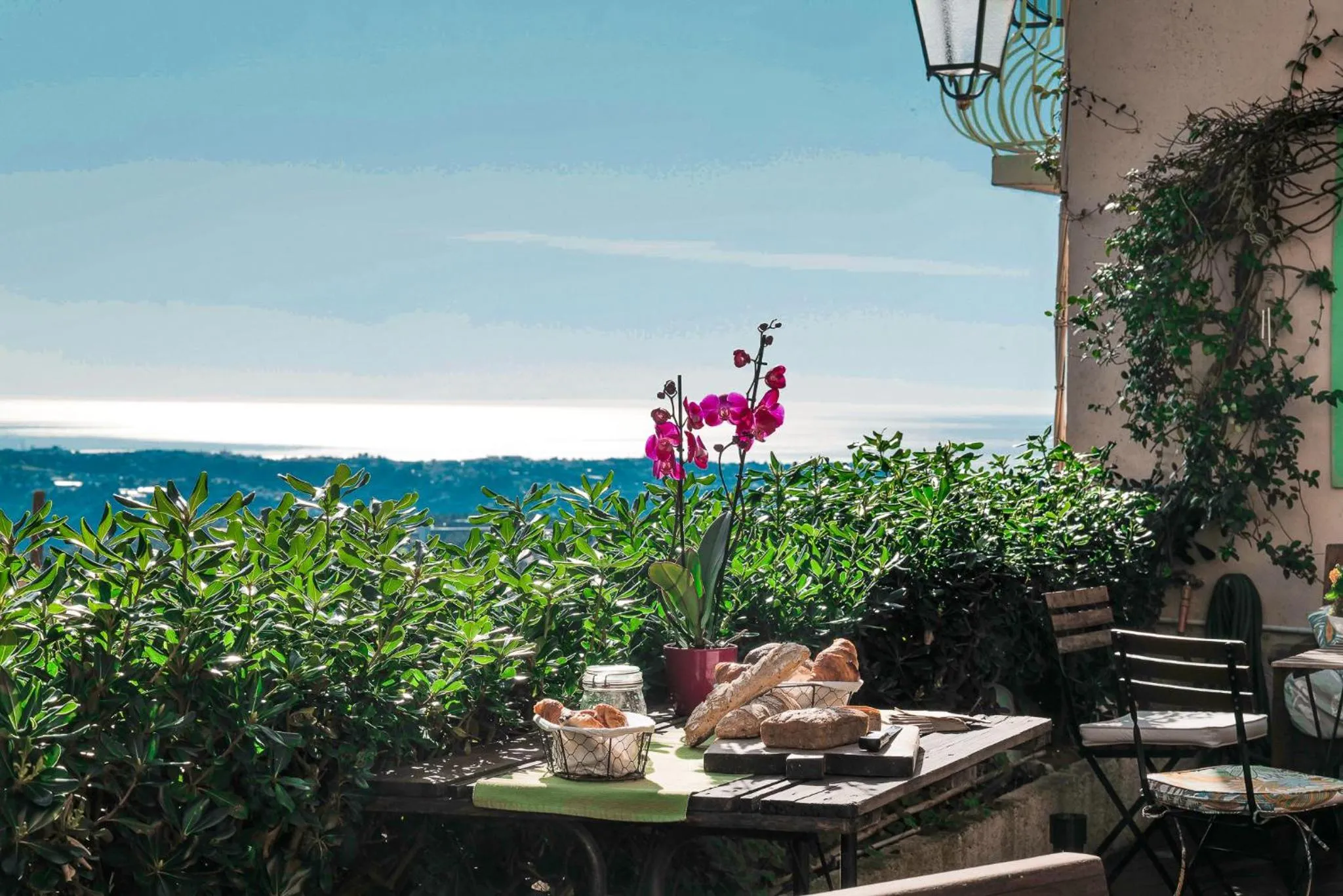 View (from property/room) in The frogs' house - Yoga Retreat