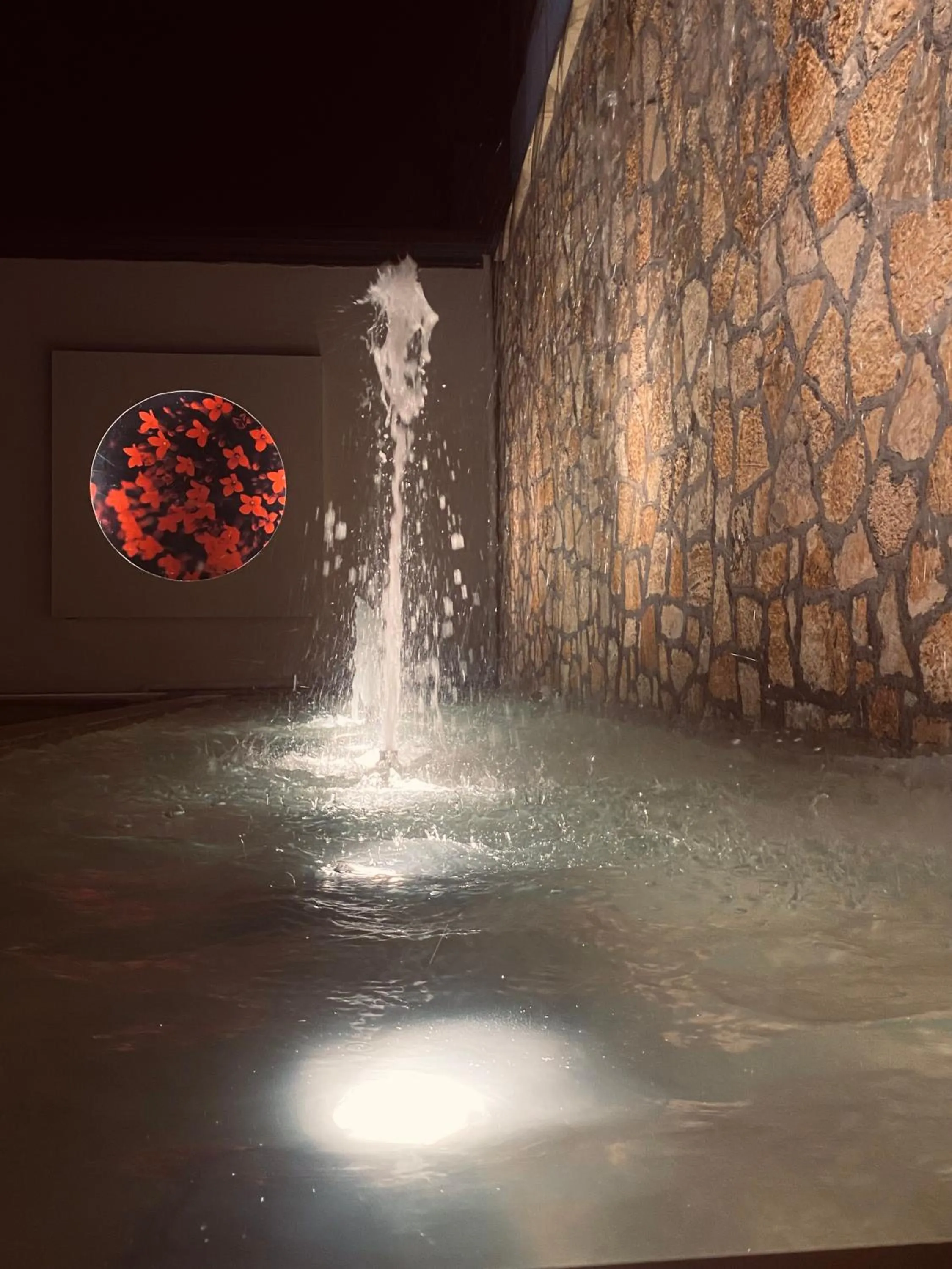 Pool view in Hotel Cezaria