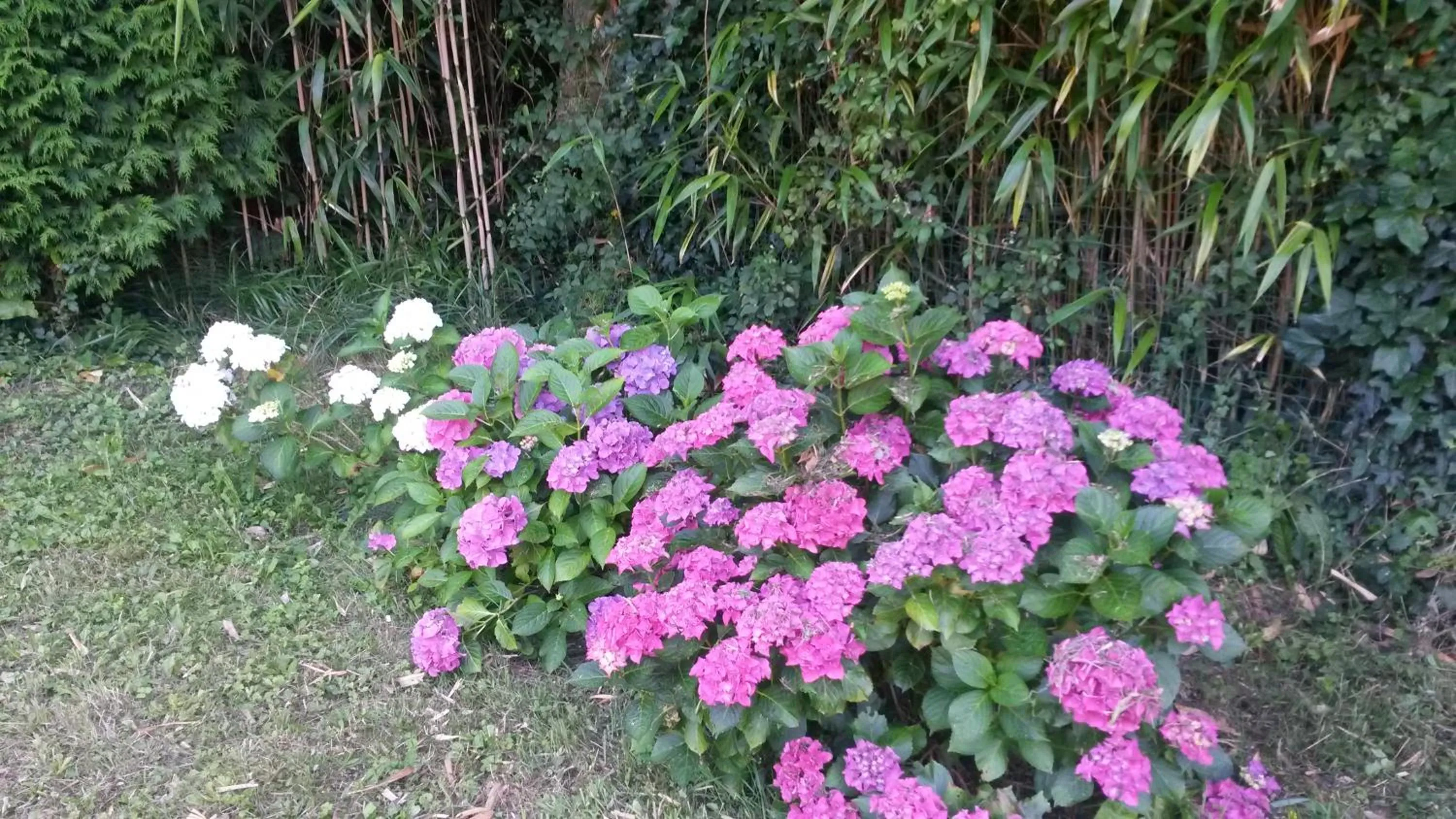Garden in Casa Rural Ibarrondo Etxea