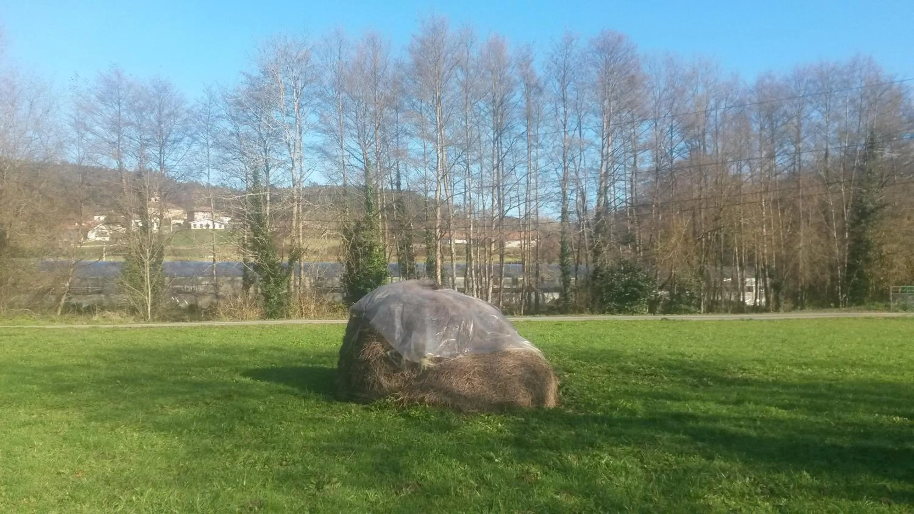 Garden in Casa Rural Ibarrondo Etxea