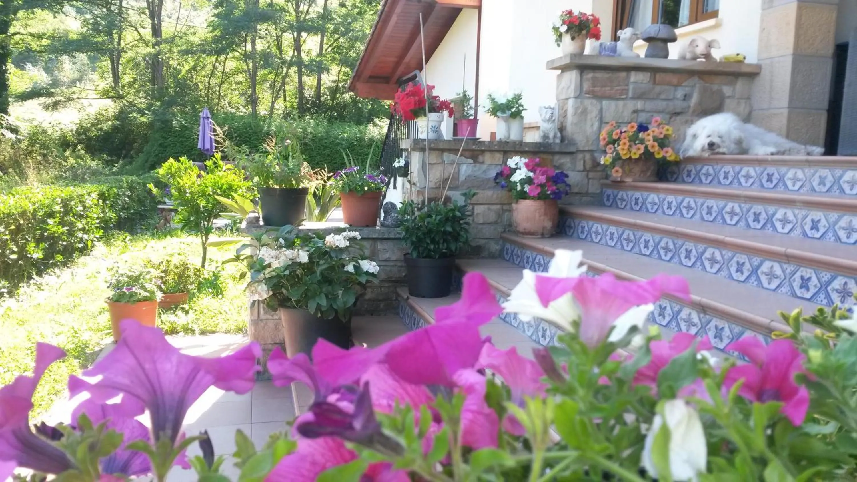 Facade/entrance in Casa Rural Ibarrondo Etxea