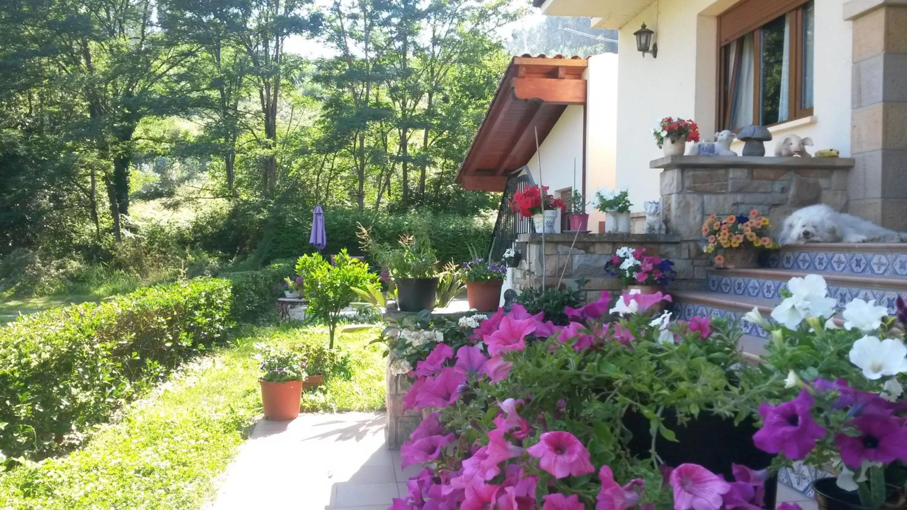 Facade/entrance in Casa Rural Ibarrondo Etxea