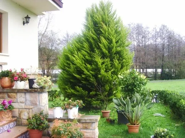 Garden in Casa Rural Ibarrondo Etxea