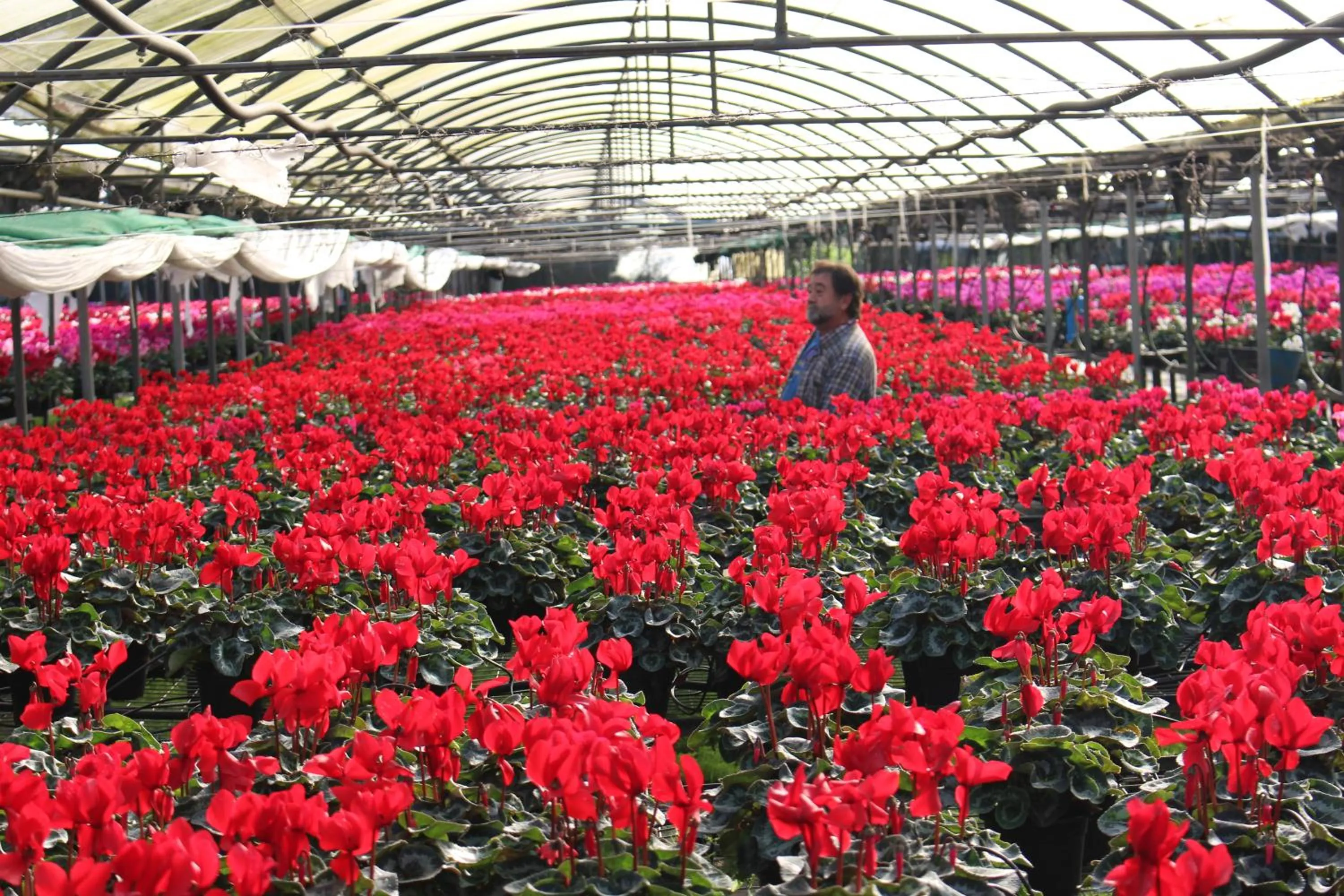 Activities in Casa Rural Ibarrondo Etxea