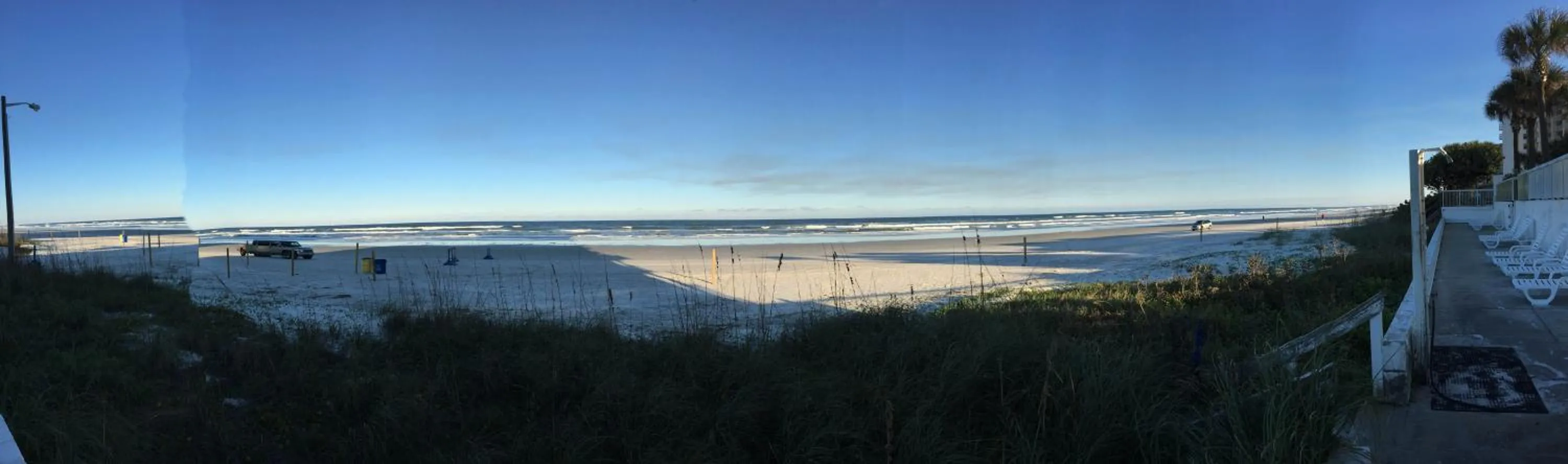 Natural landscape in Bahama House - Daytona Beach Shores