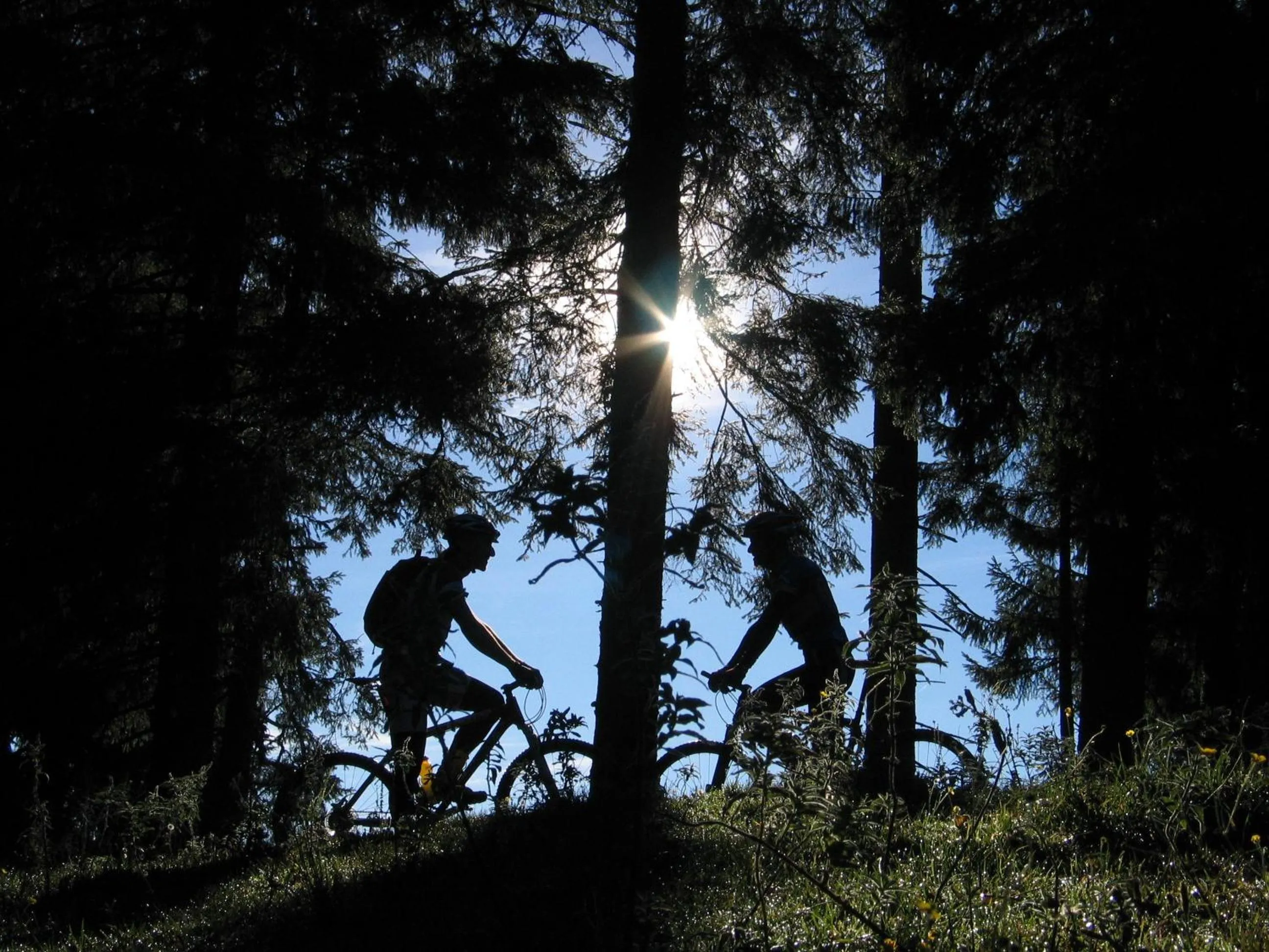 Cycling in Haus am Brunnen