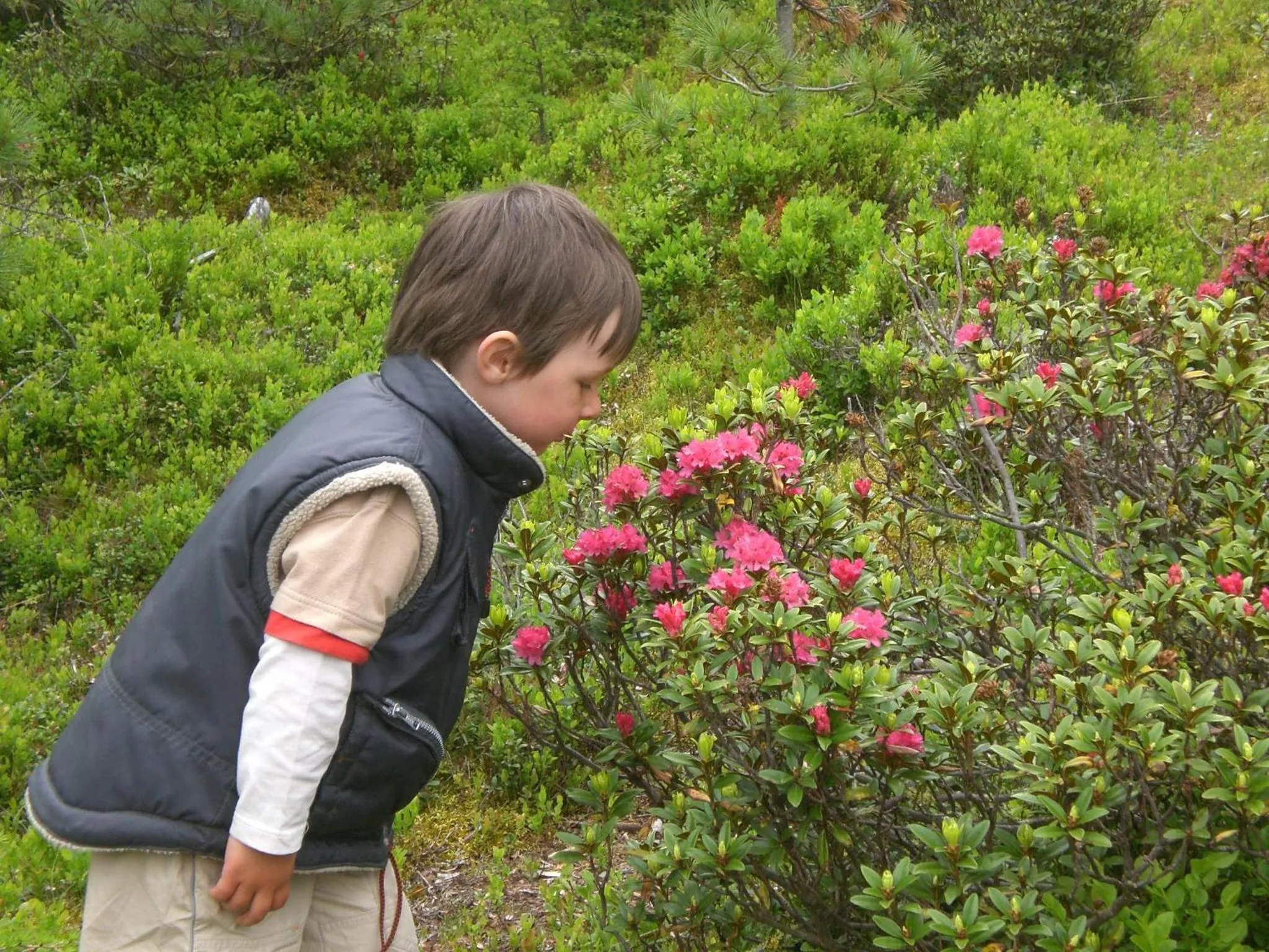 Hiking in Haus am Brunnen
