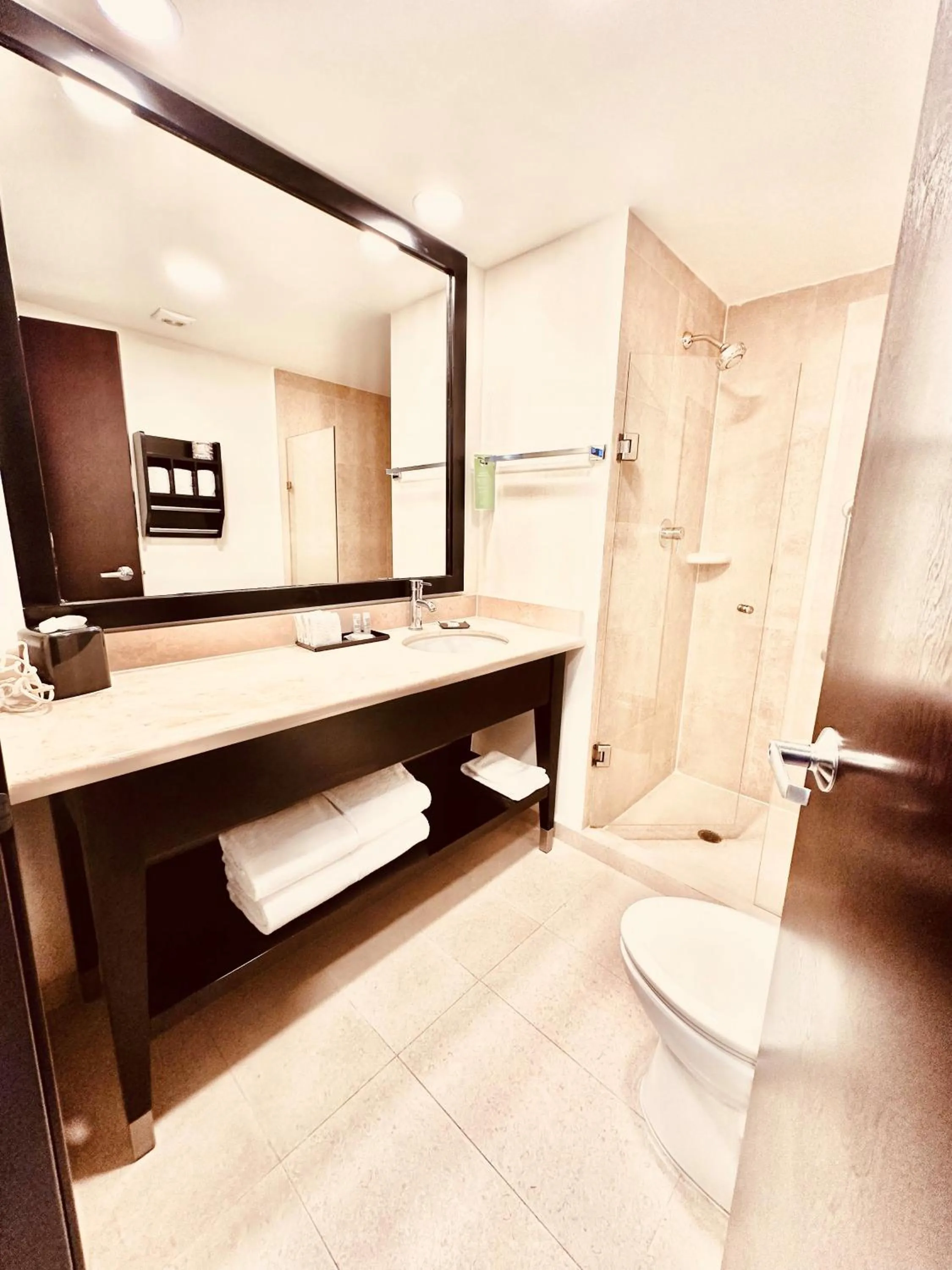 Shower in La Quinta by Wyndham San Luis Potosi