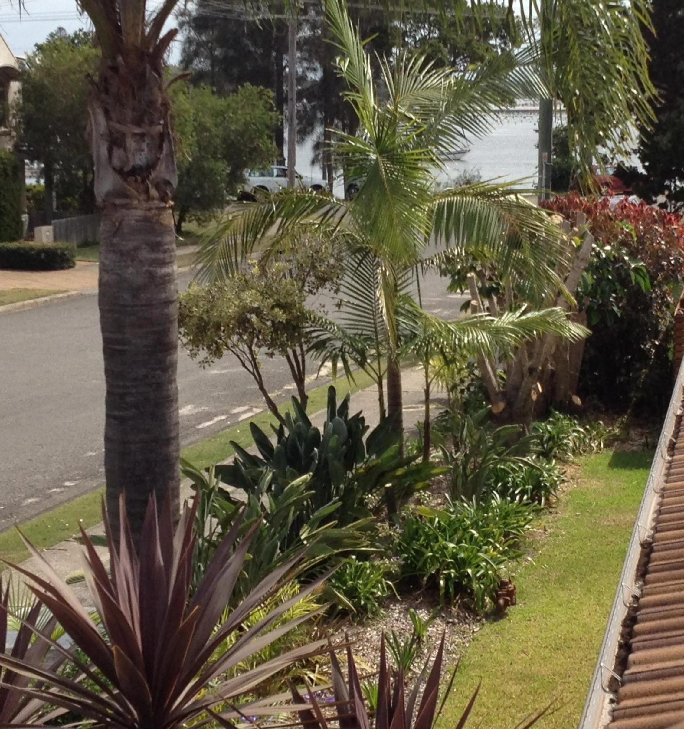 Area and facilities in Hawks Nest Motel