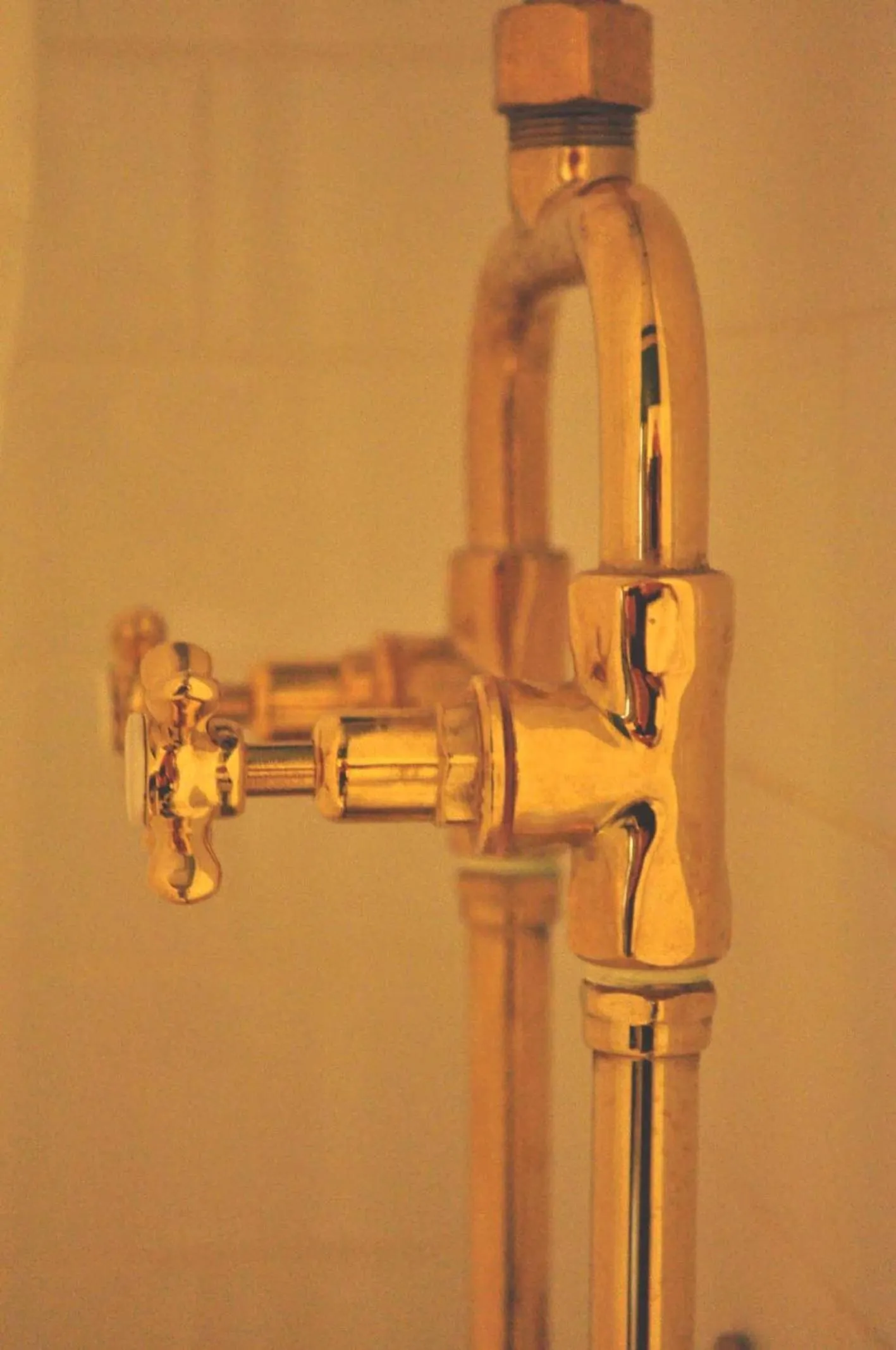 Decorative detail in Ormiston House