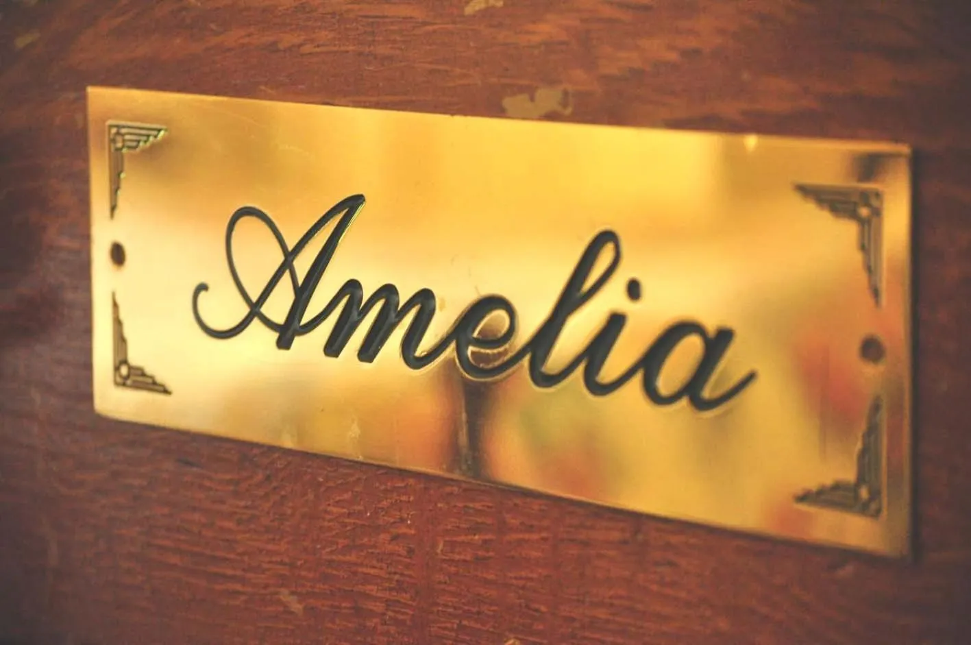 Decorative detail in Ormiston House