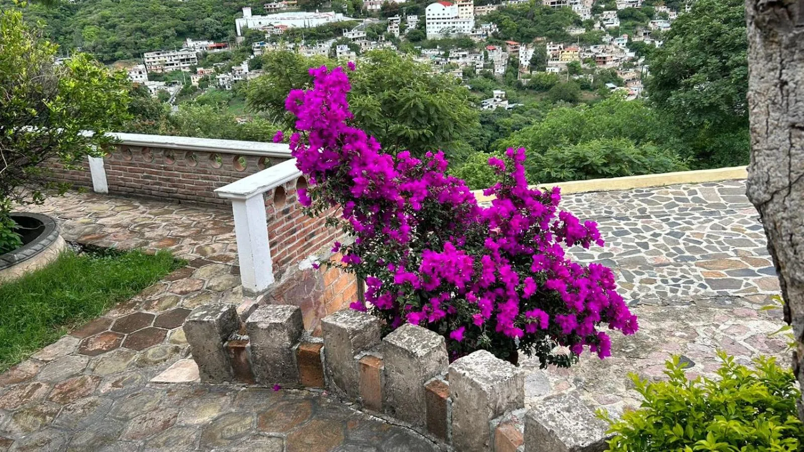 Garden in Hotel Colonial Taxco